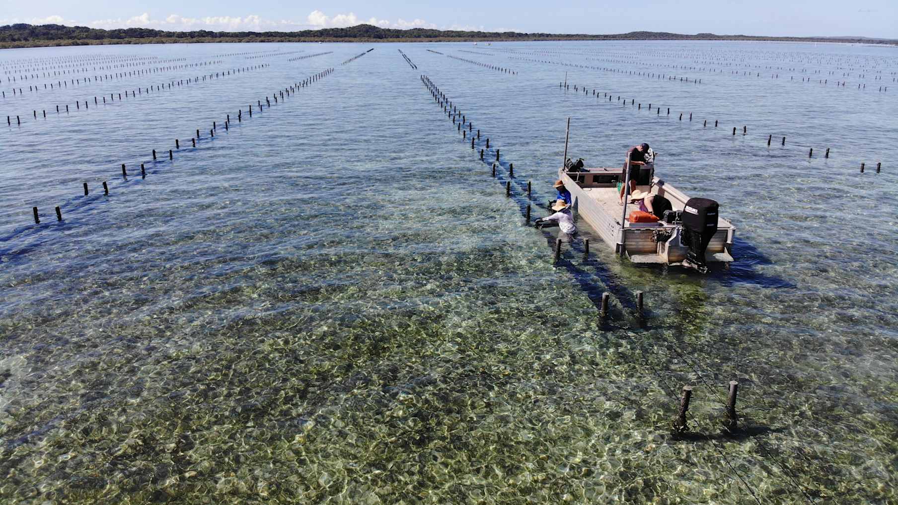 Kooringal Oysters 5_Property for Sale