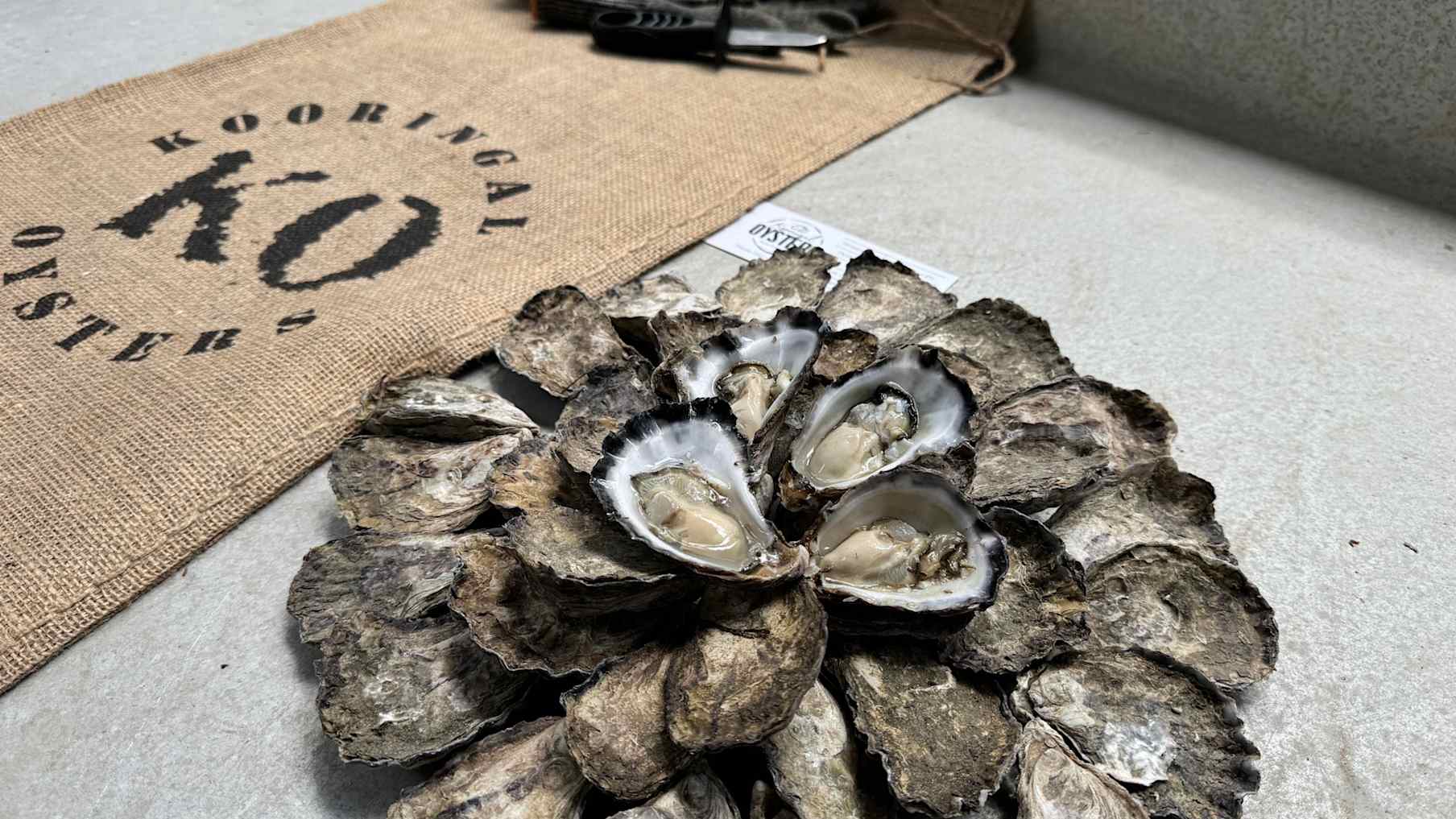 Kooringal Oysters_Property for Sale