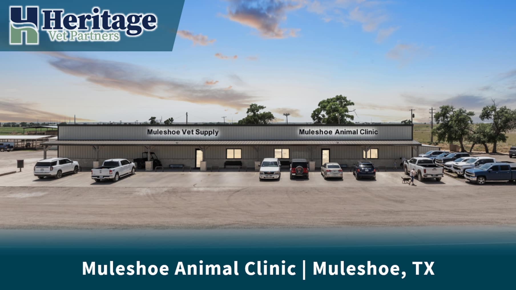 Muleshoe Animal Clinic &amp; Vet Supply in Muleshoe, TX_Property for Sale