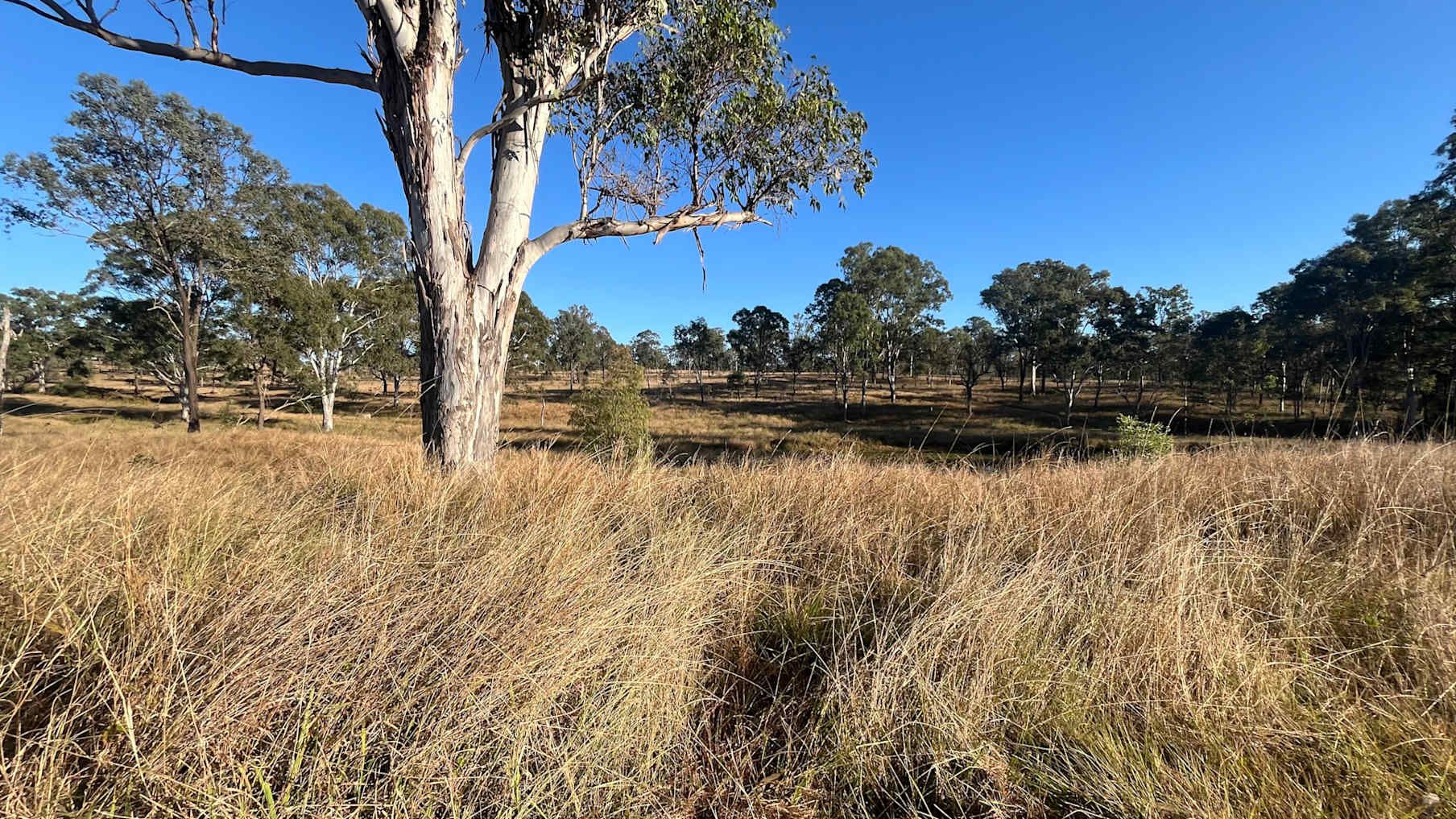 Three Mile Aggregation  5_Property for Sale