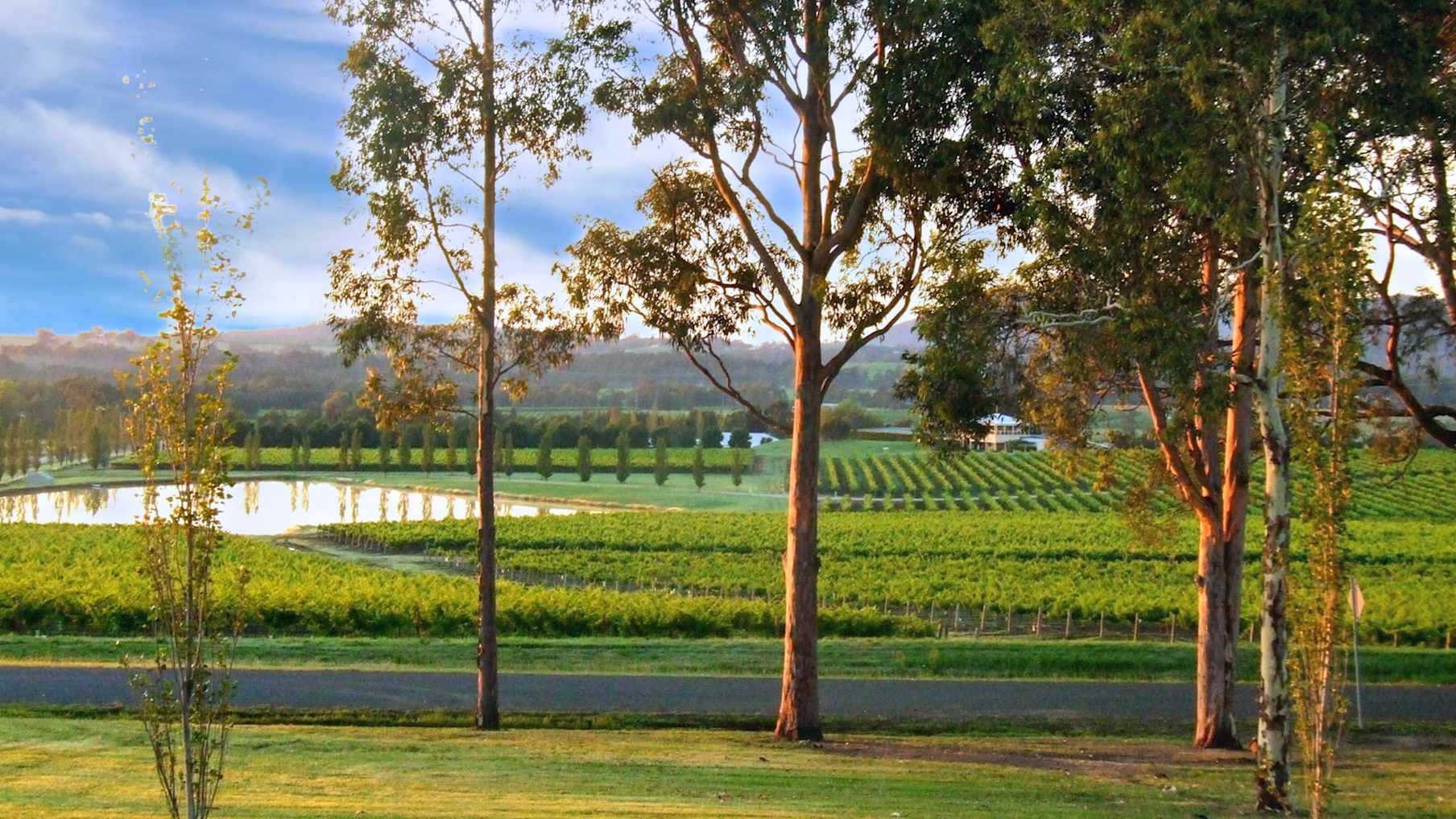 Estate Tuscany, Hunter Valley 5_Property for Sale