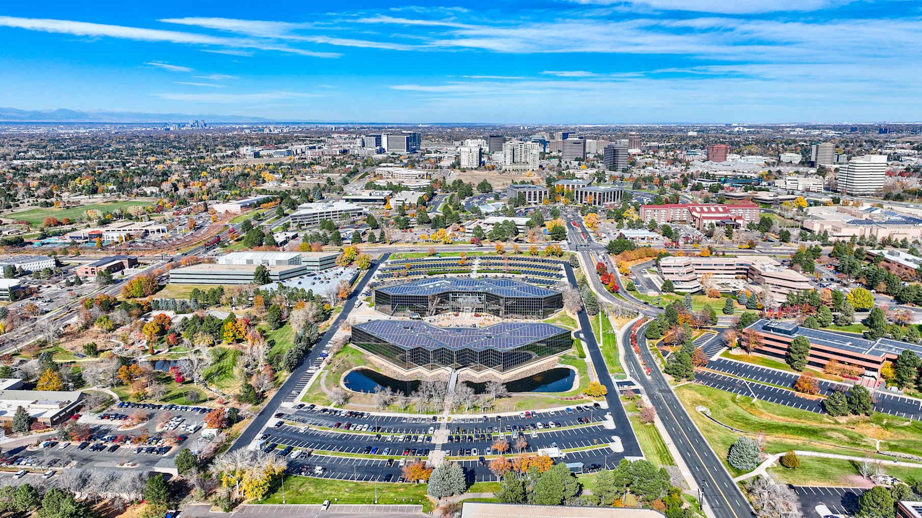 Harlequin Plaza 5_Property for Sale