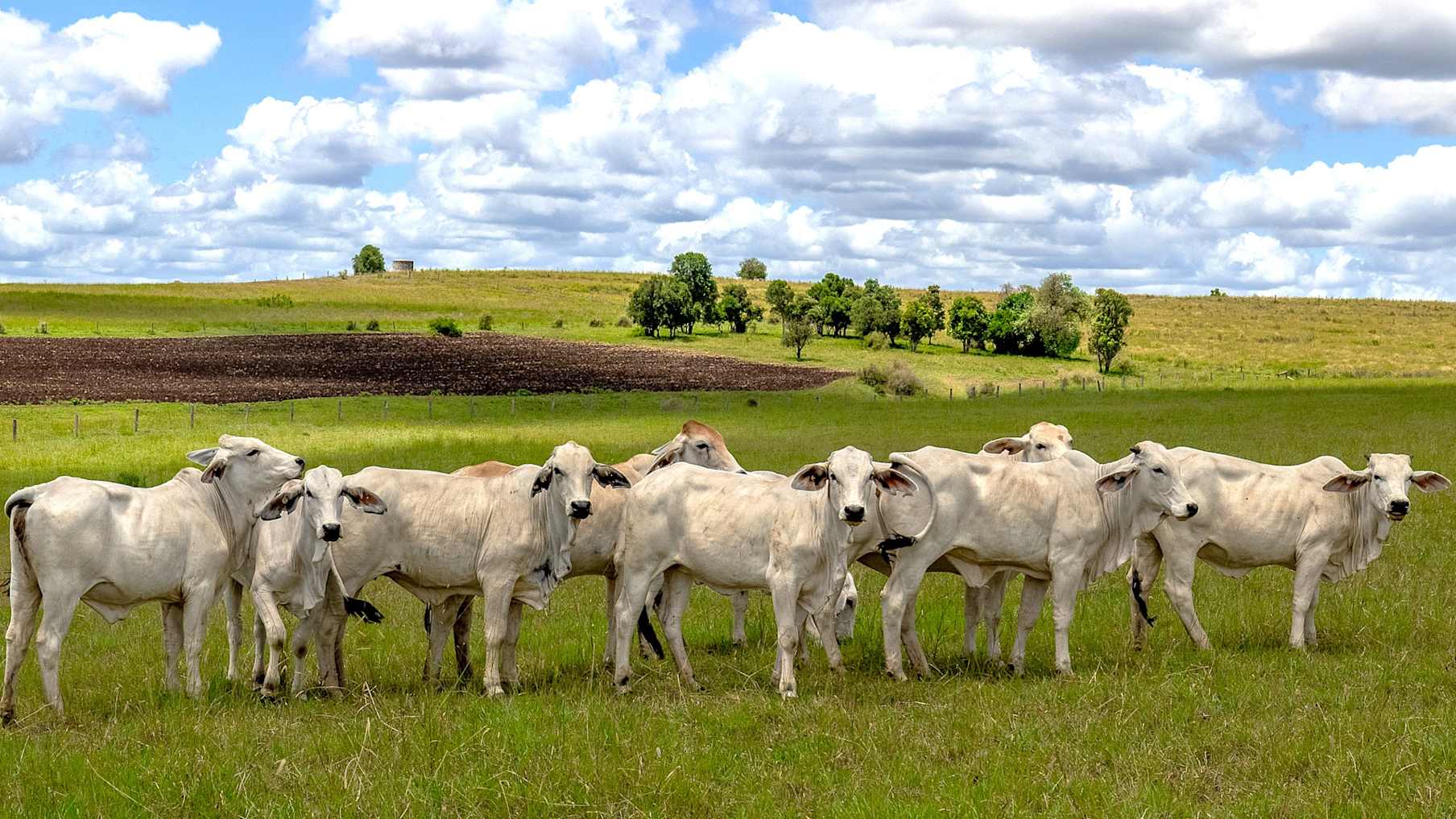 Melinya_Property for Sale