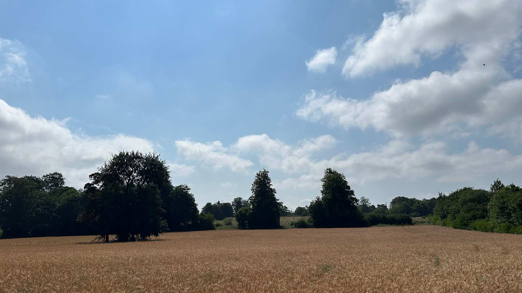 Land adjacent to Ashton Way, Leybourne, West Malling 5_Property for Sale
