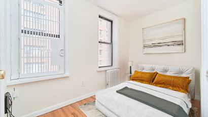 313 &amp; 319 East 95th Street 20_Property for Sale