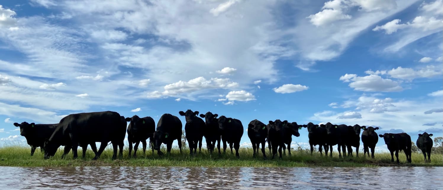 Burnbrae Moonie Property for Sale AU JLL