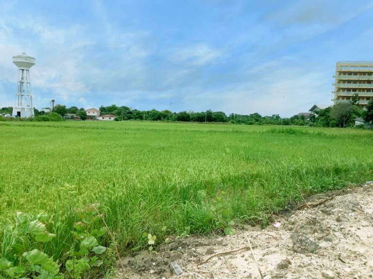 Freehold Land for Residential in Salaya_판매용 부동산