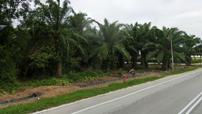 3 Acres Development Land in Sungai Pelek_Property for Sale