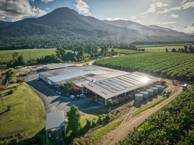 MACKAY FARMING GROUP - Australia&#39;s Largest Banana Producer and Tropical Fruit En_Propiedad en venta