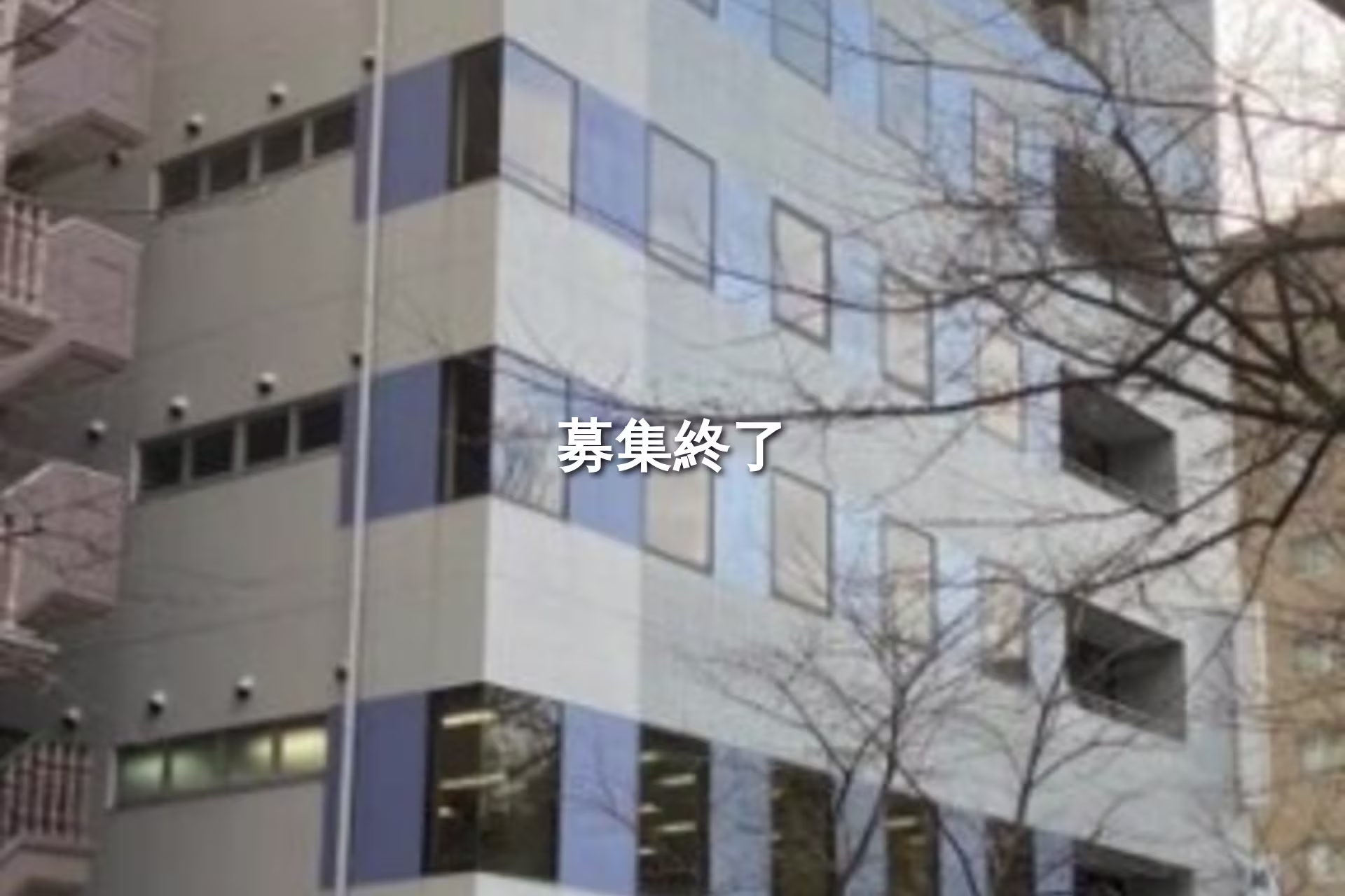 境南町2-7-19