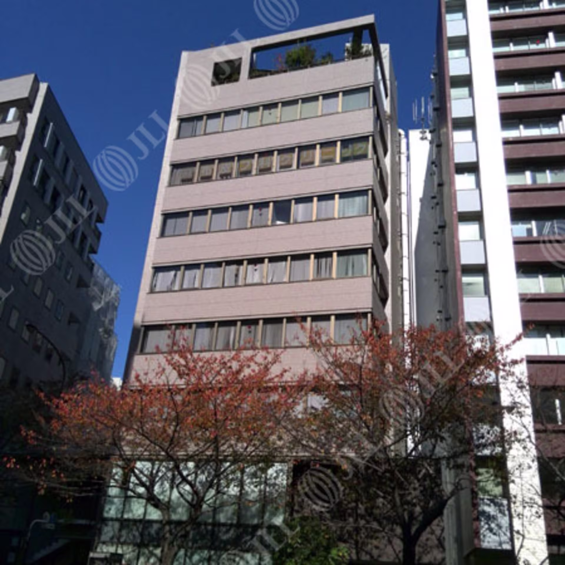 広尾1-3-1
