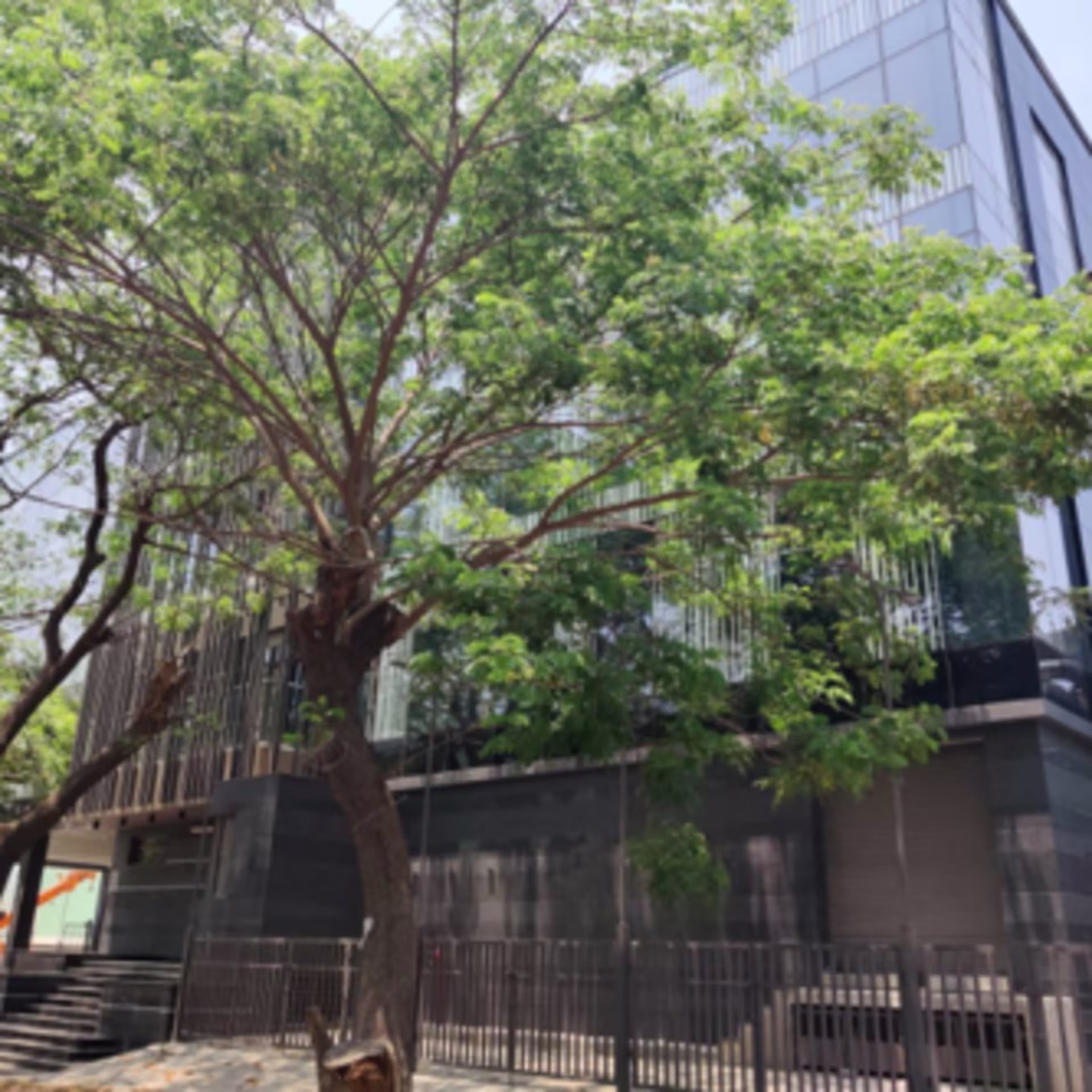 15 North Phase, Developed Plot, Guindy Industrial Estate
