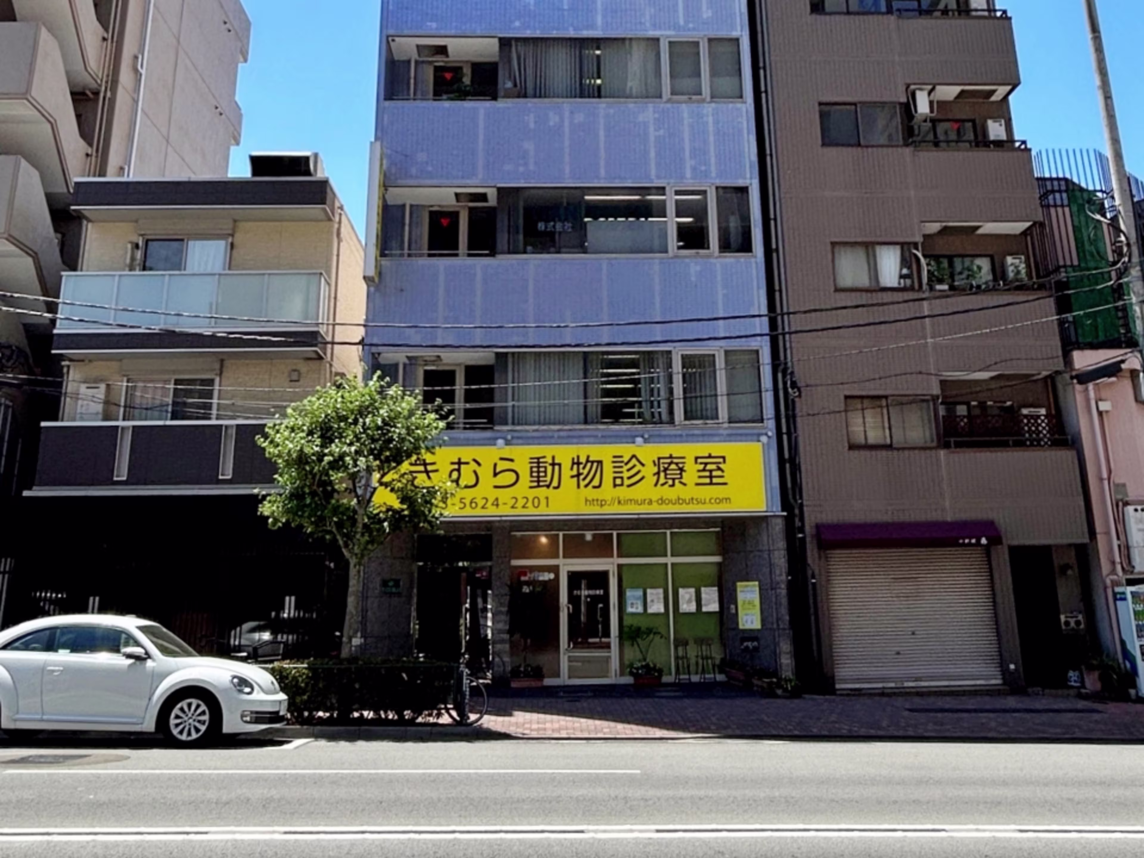 T・CS BLD