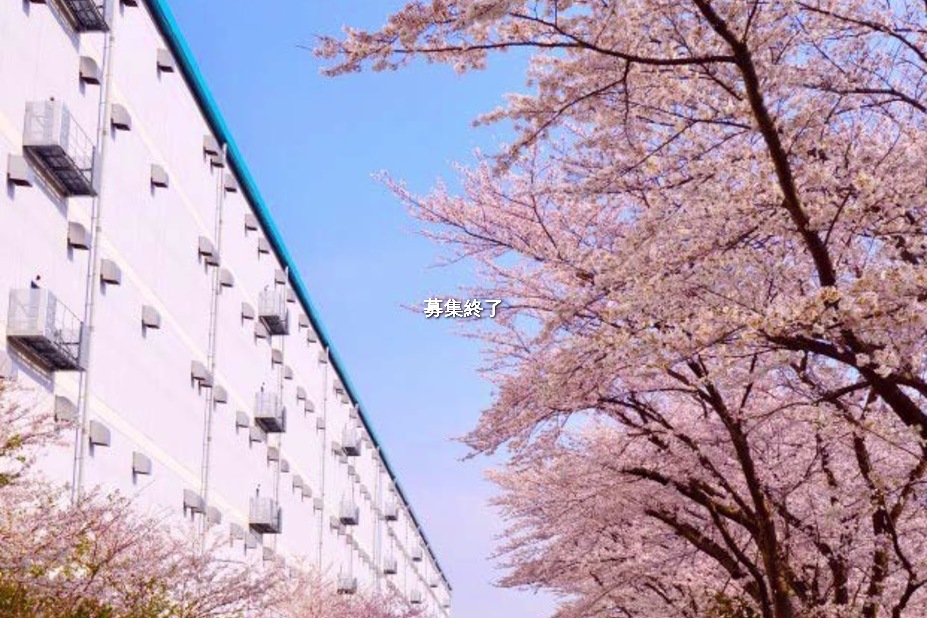 Marq柏