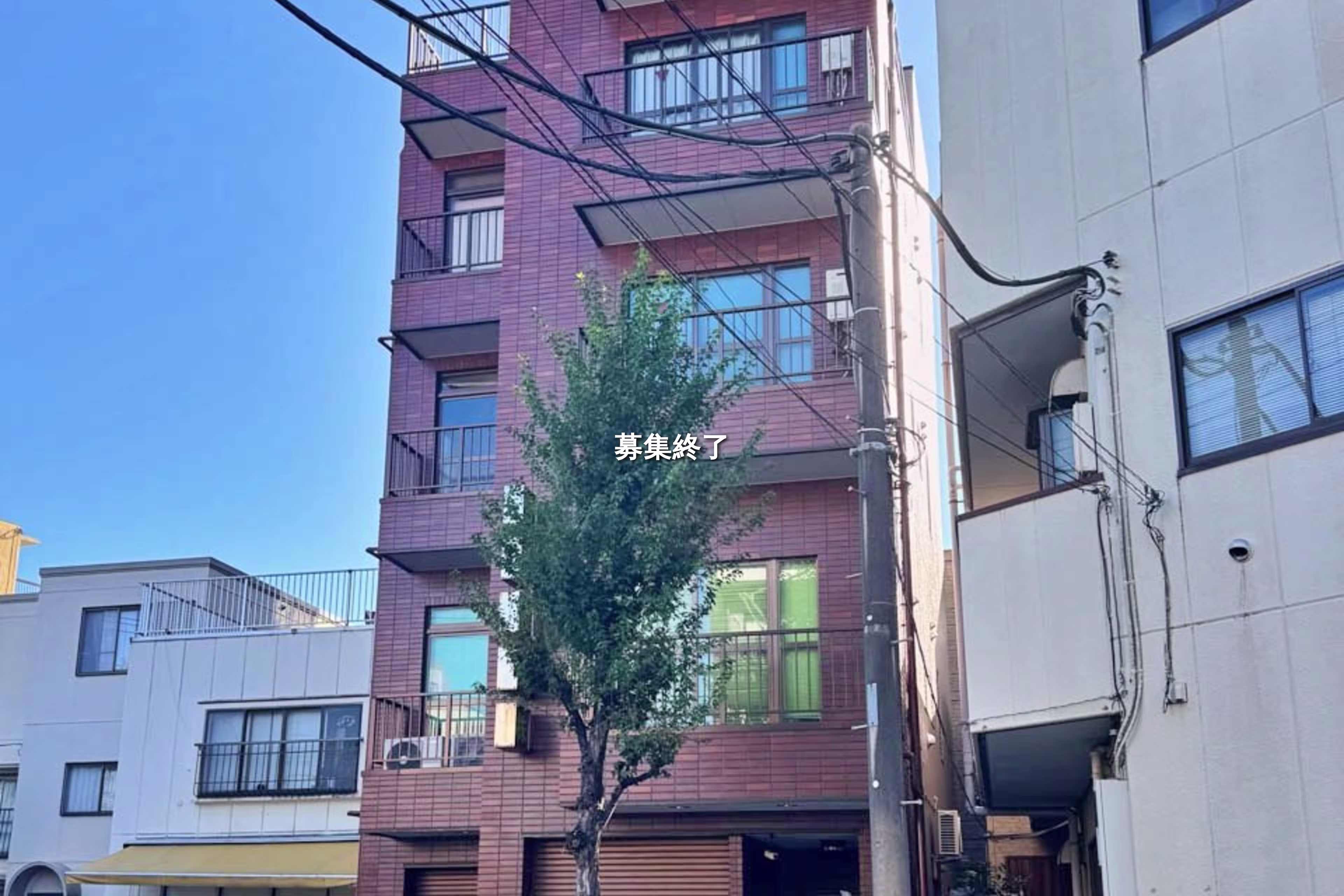 文花1-34-8