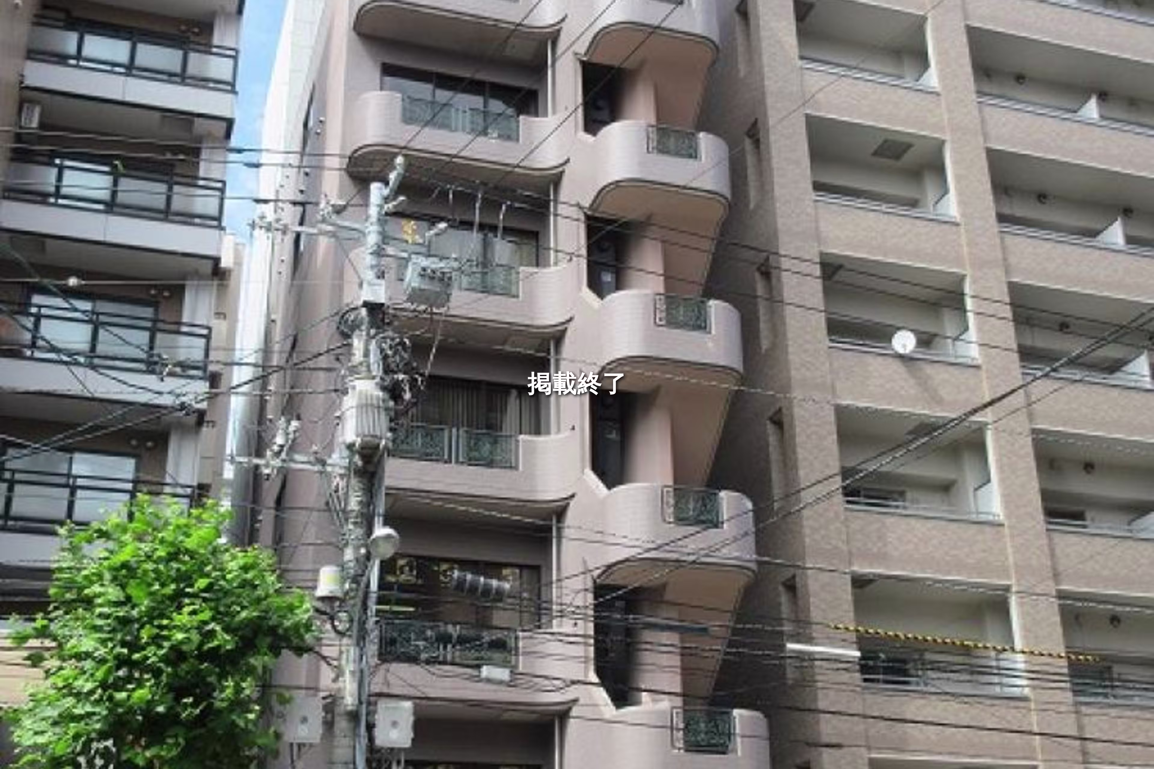 南三条西13-320-13