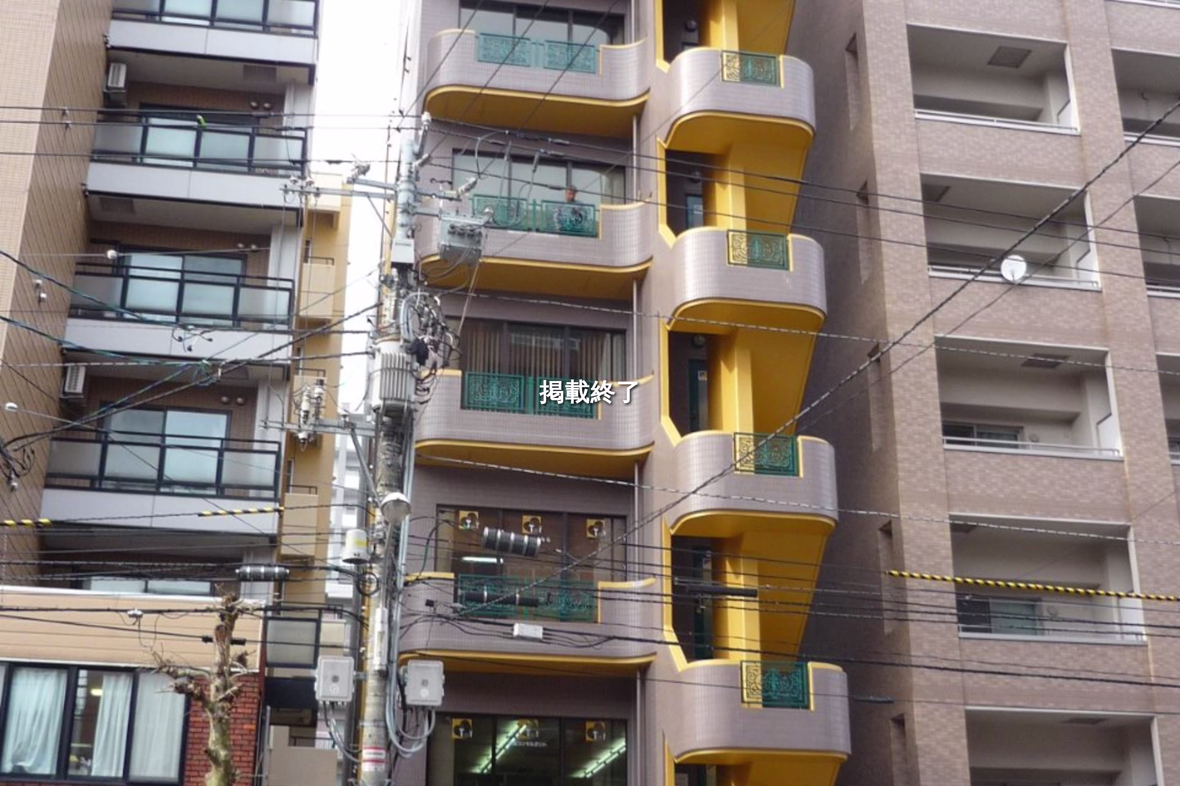 南三条西13-320-13