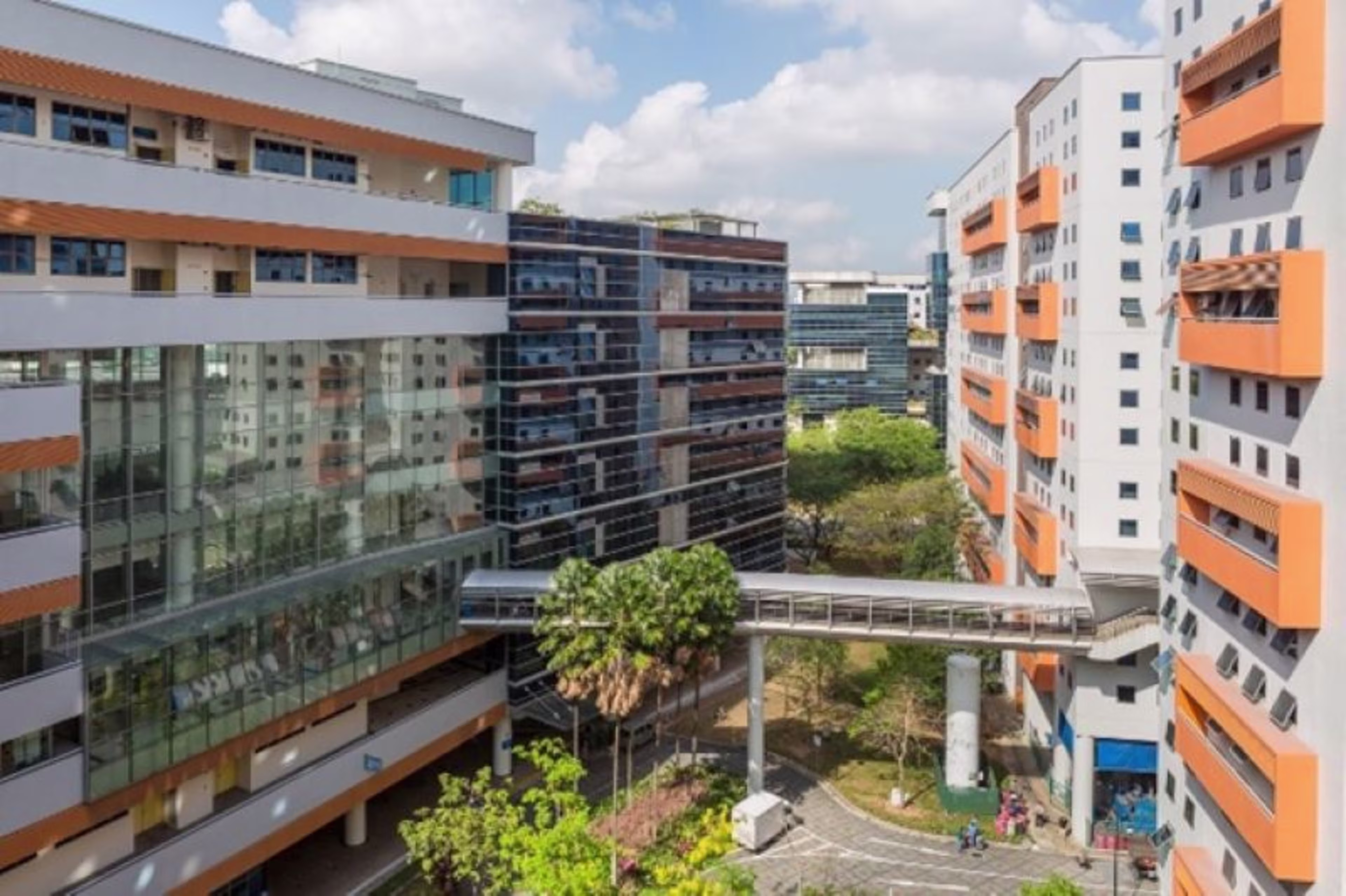 201 Woodlands Avenue 9