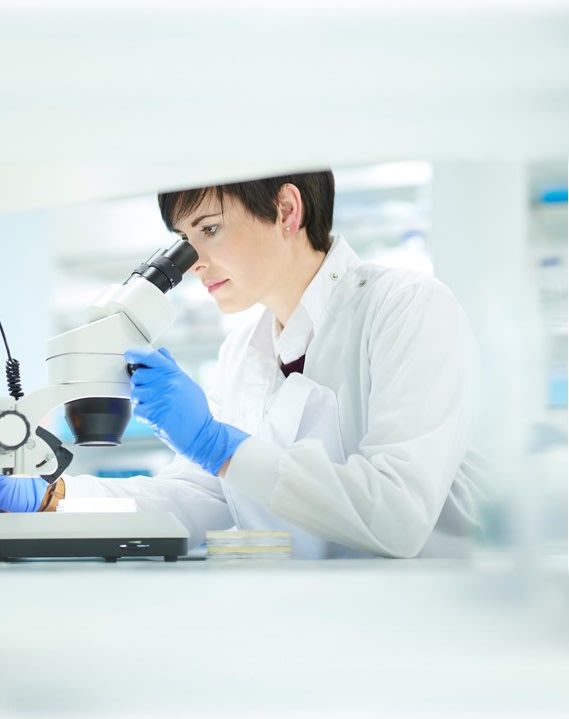 Life Science Location Bureaux JLL Life Science Location Bureaux JLL