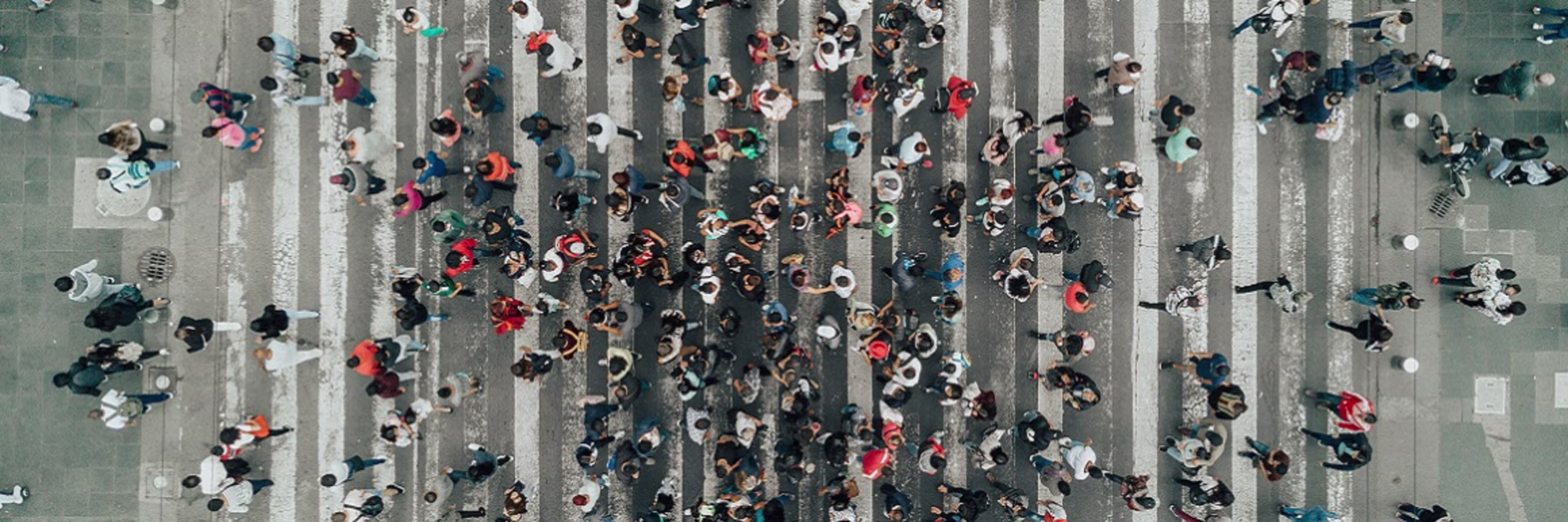 Comment mettre en place une démarche RSE dans votre entreprise ? | JLL