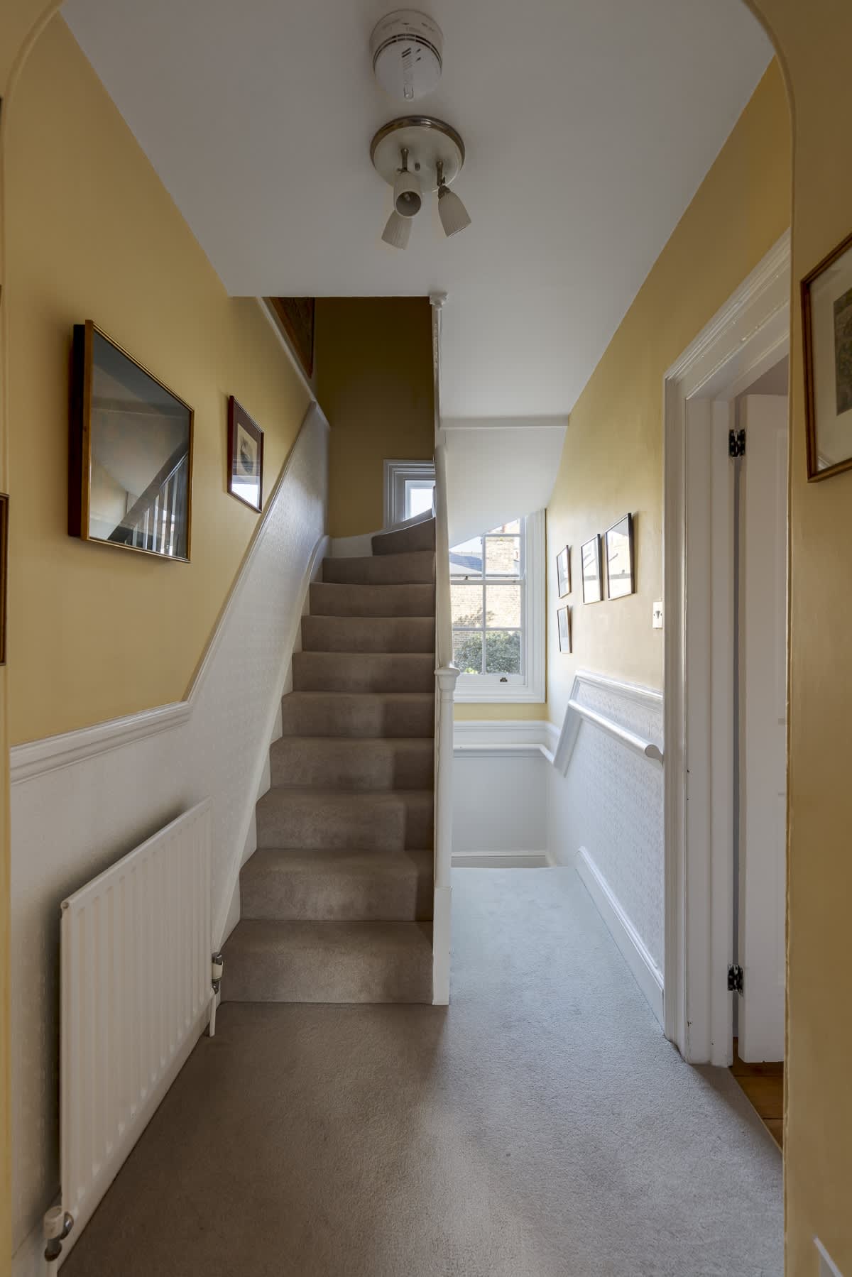 Gallery Slide 22