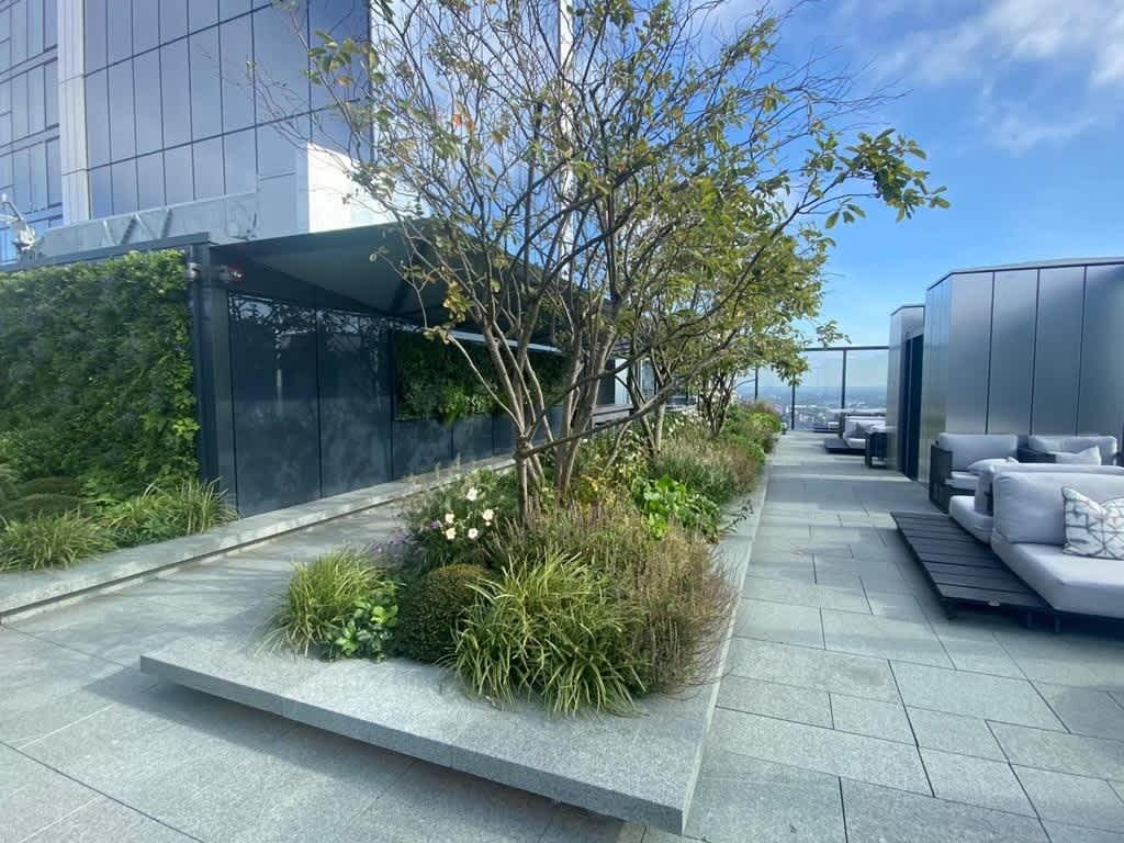 Gallery Slide 35
