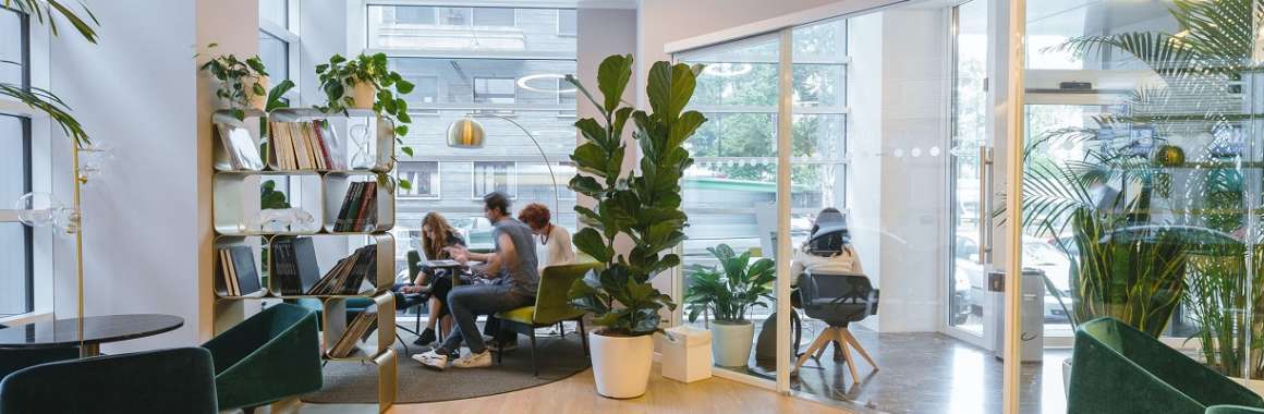 Bureau régénérant JLL
