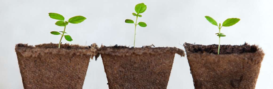 Incubateur start-up