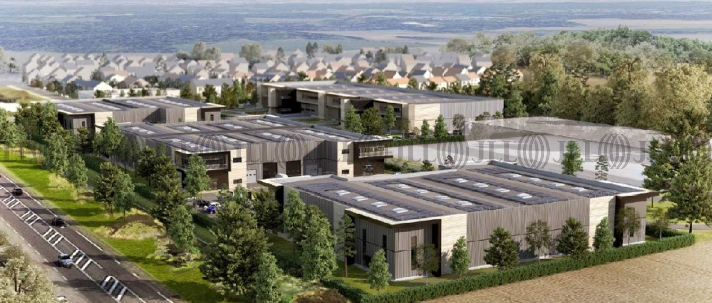 Activités/entrepôt Survilliers, 95470 - BUSINESS PARC - BATIMENT 2C