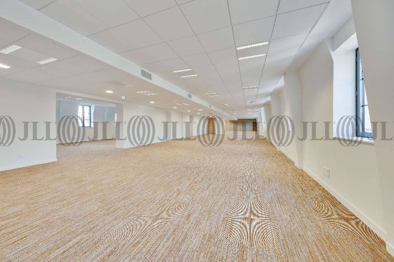 Bureaux Lyon, 69002 - COURS DU MIDI - 9773962