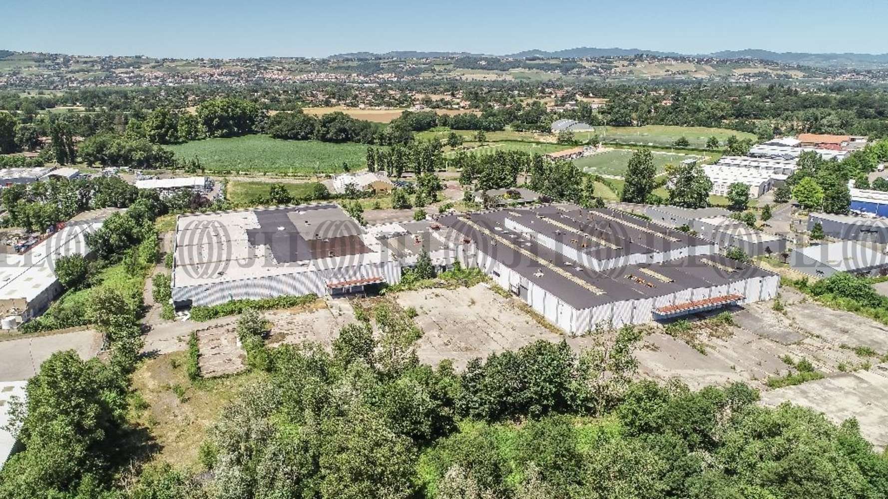 Activités/entrepôt Trevoux, 01600 - ENTREPOT À VENDRE LYON - TRÉVOUX - 9783772