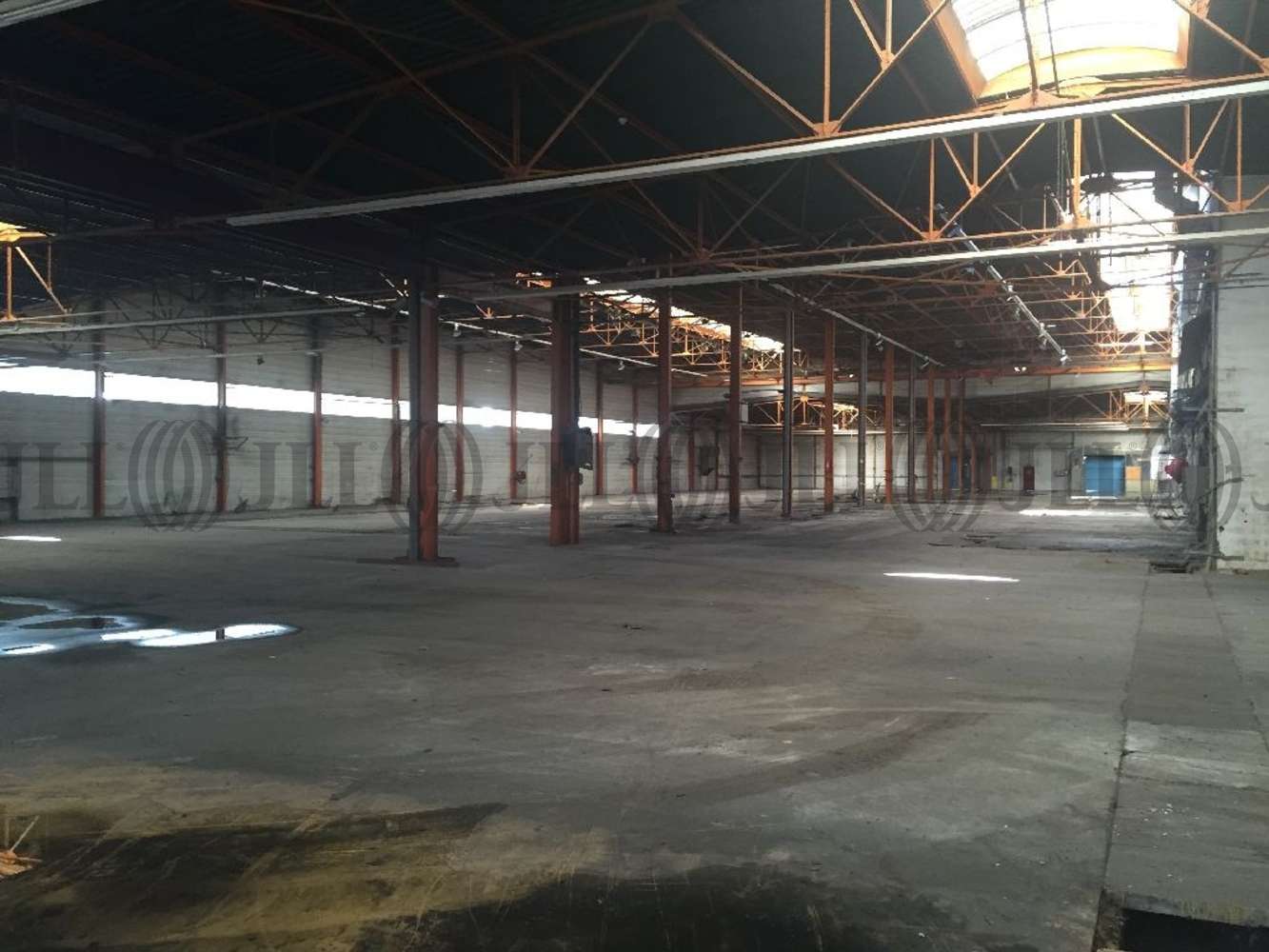 Activités/entrepôt Trevoux, 01600 - ENTREPOT À VENDRE LYON - TRÉVOUX - 9783773