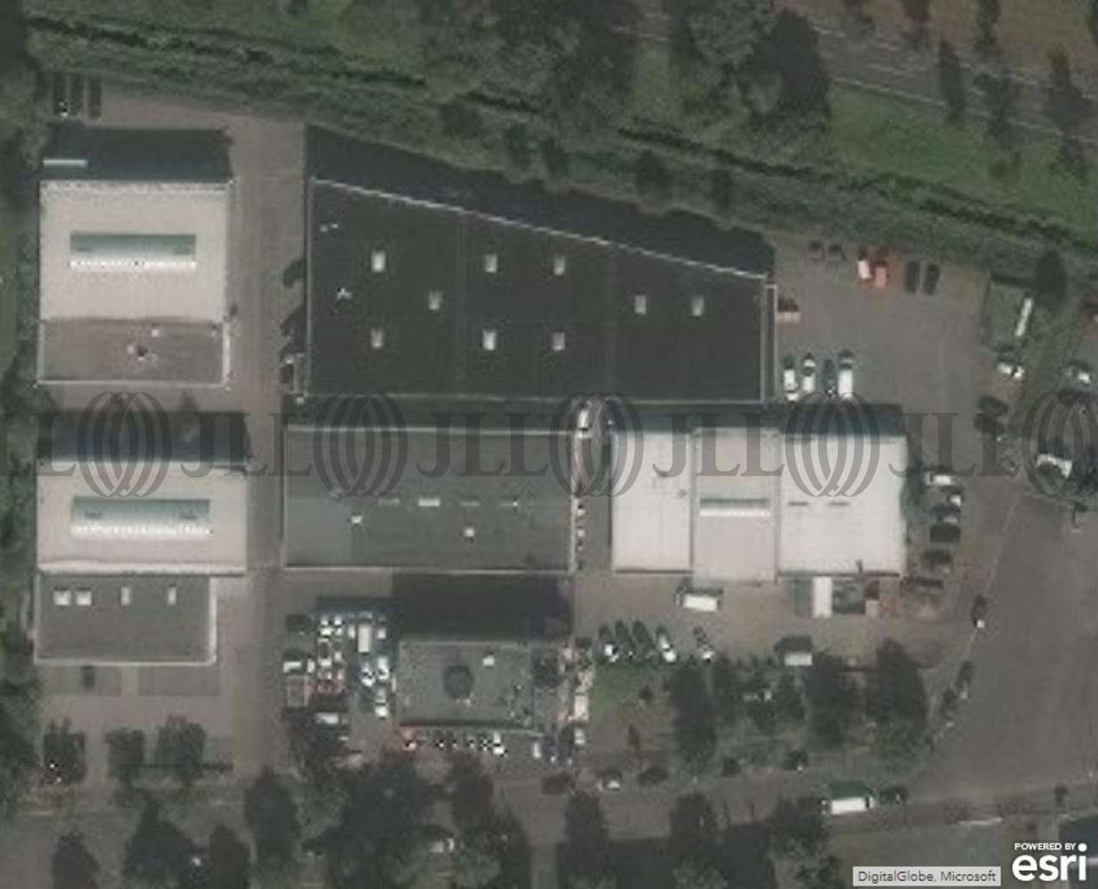 Halle Hanau F2666 Zur Miete Jll
