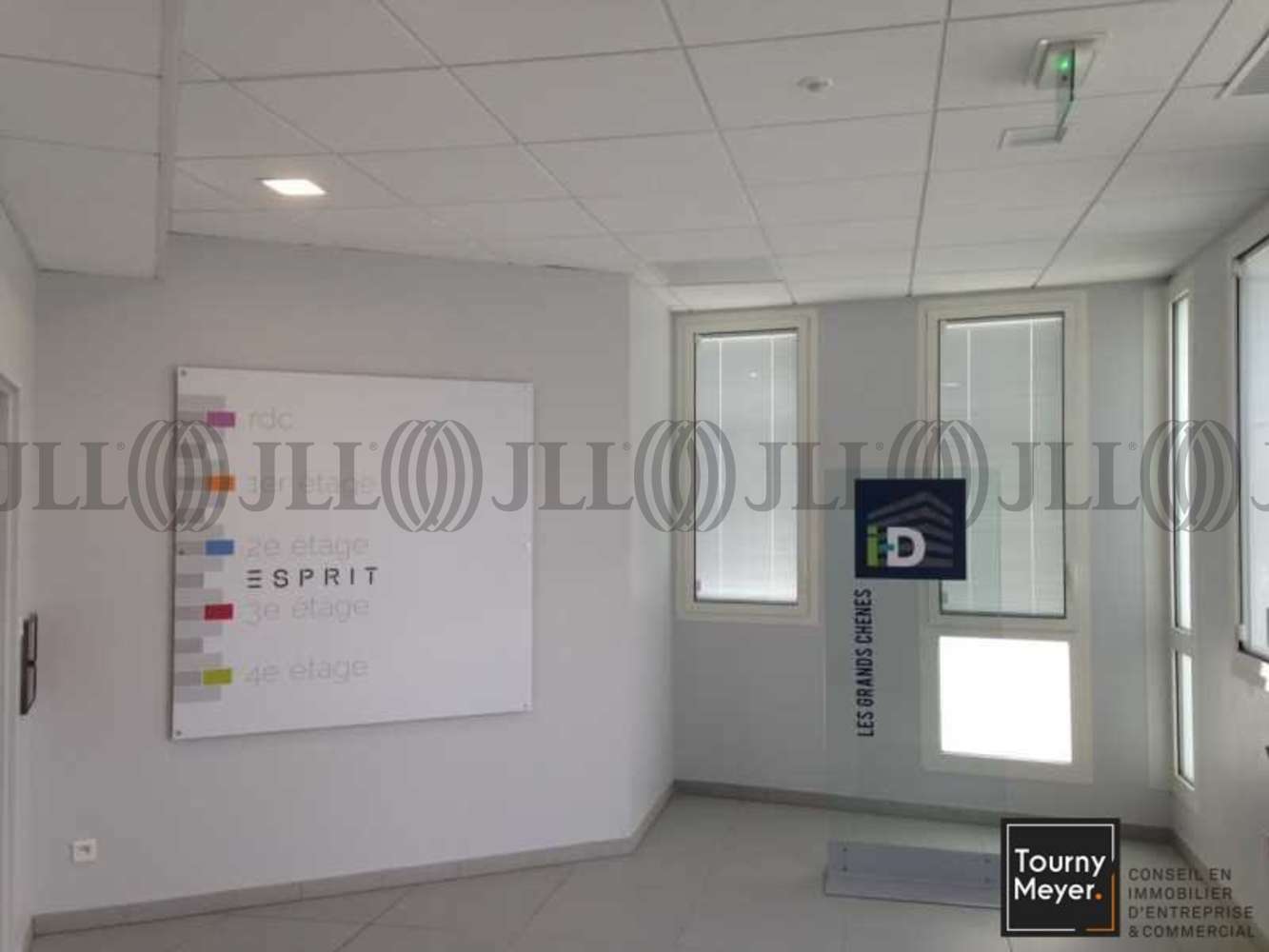 Bureaux Balma, 31130 - 2 RUE JEAN GIONO - 10765381