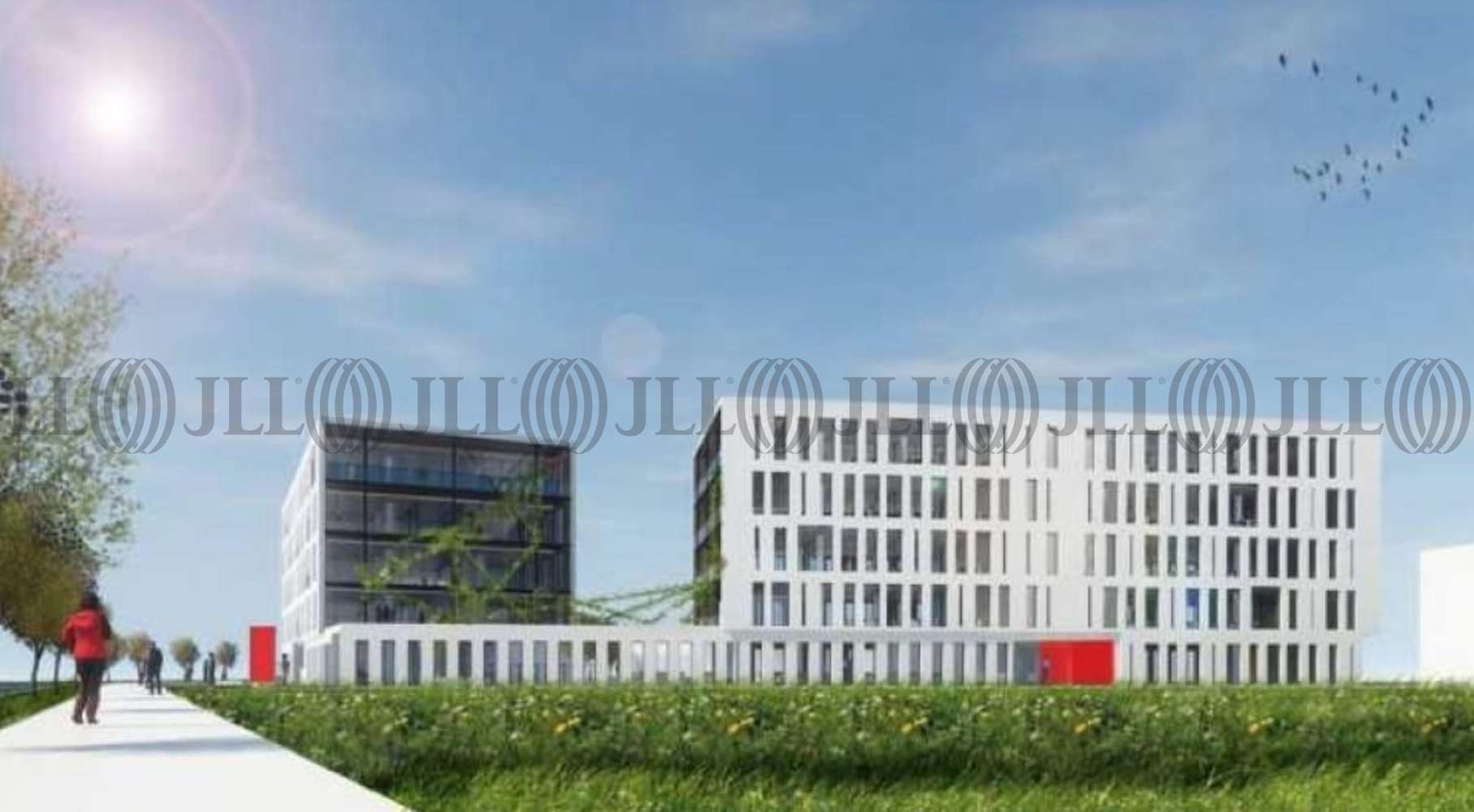 Bureaux Toulouse, 31200 - RUE EDMOND ROSTAND - 10765471