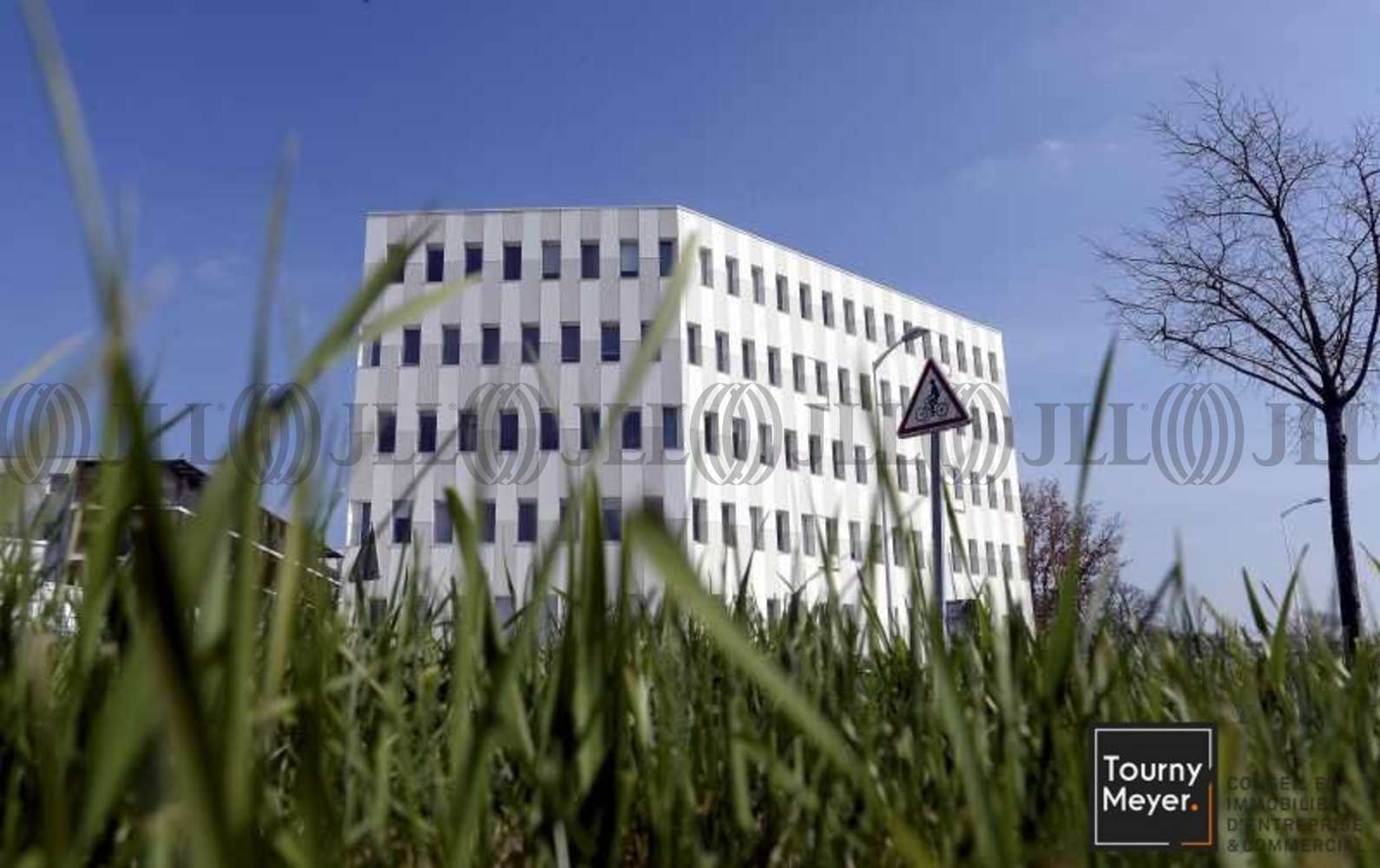 Bureaux Balma, 31130 - 2 RUE JEAN GIONO - 10765565