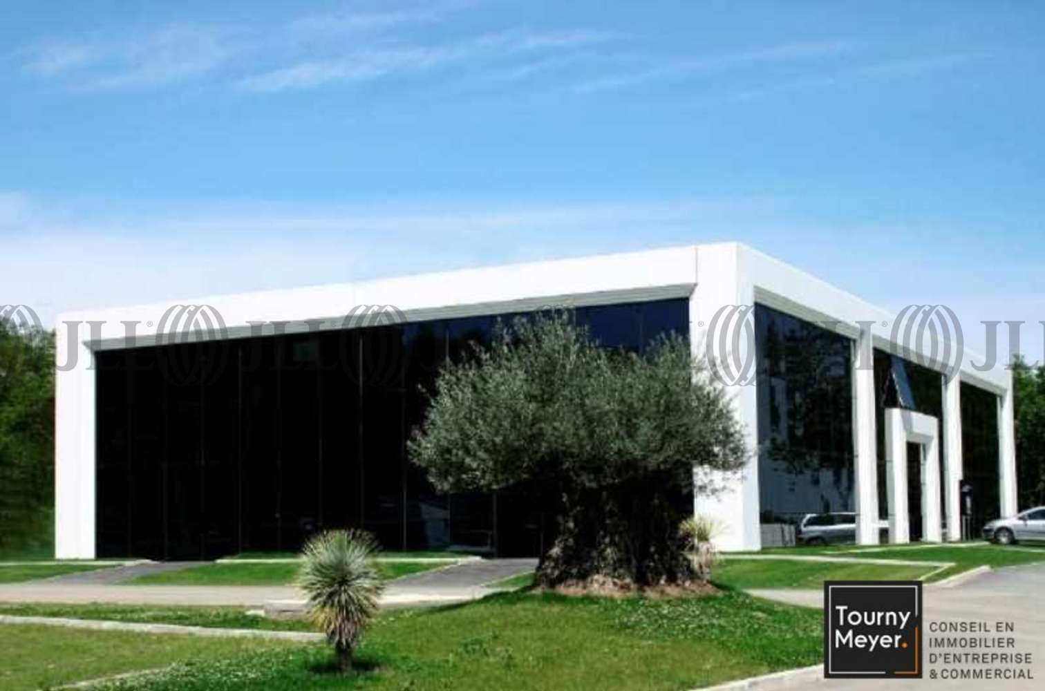 Bureaux Labege, 31670 - 298 ALLEE DU LAC - 10765584