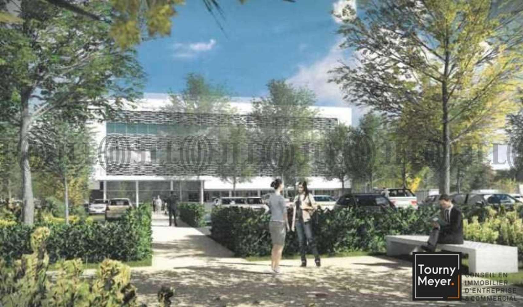 Bureaux Toulouse, 31200 - IMPASSE MARIE LAURENCIN - 10765595