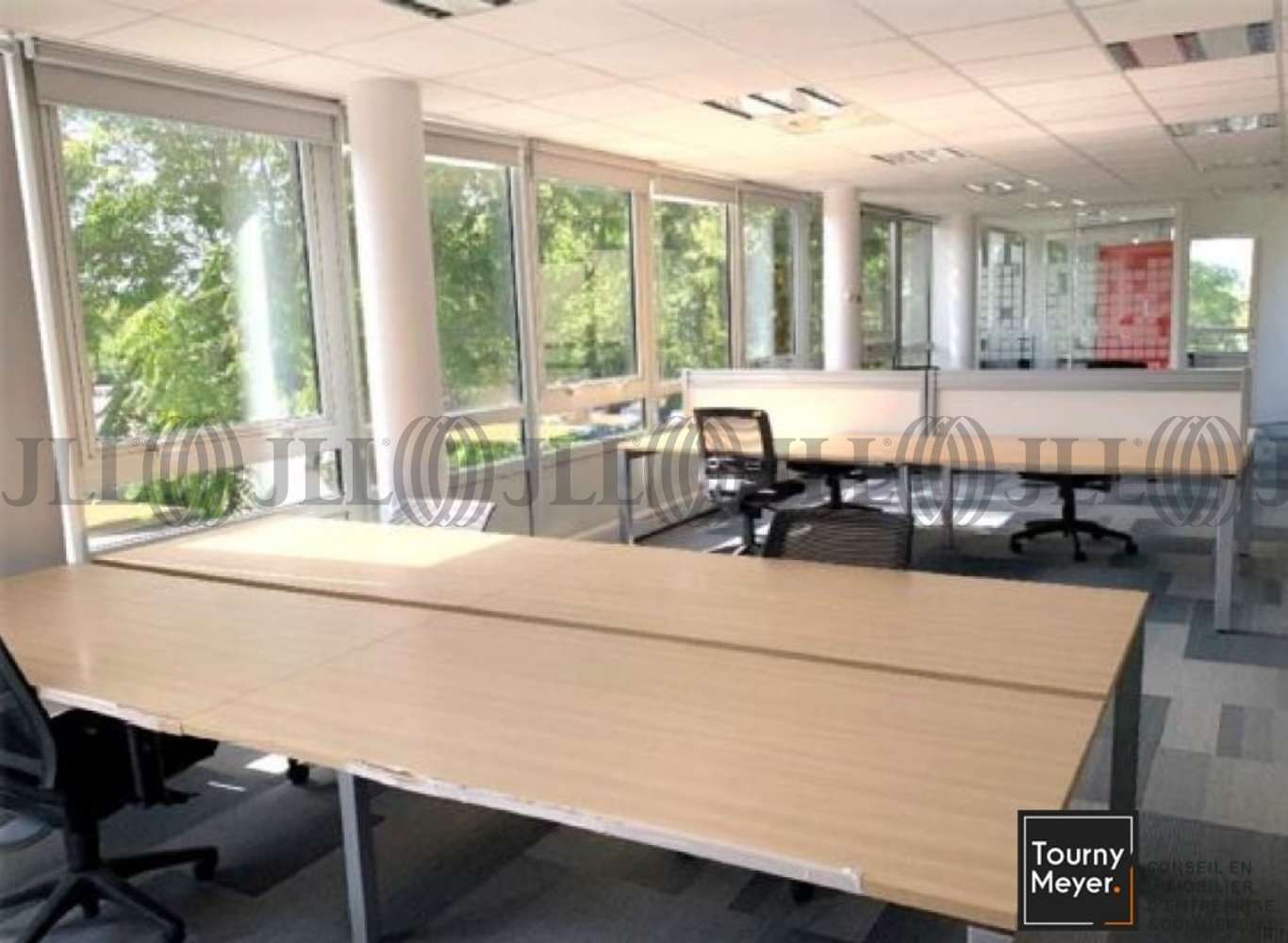 Bureaux Labege, 31670 - 1244 VOIE L'OCCITANE - 10765710