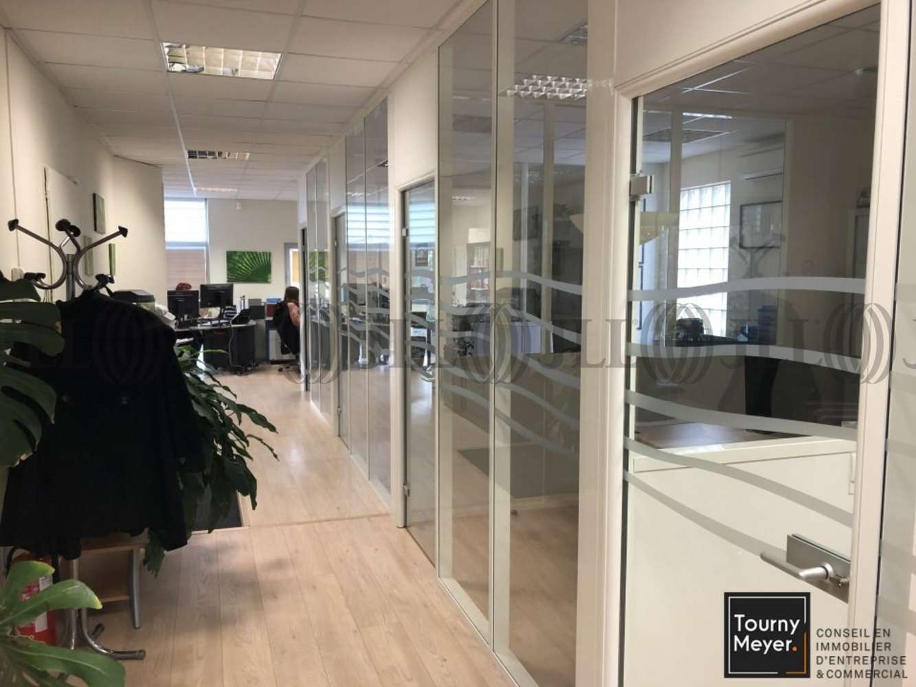 Bureaux Toulouse, 31100 - 36 ROUTE D'ESPAGNE - 10765747