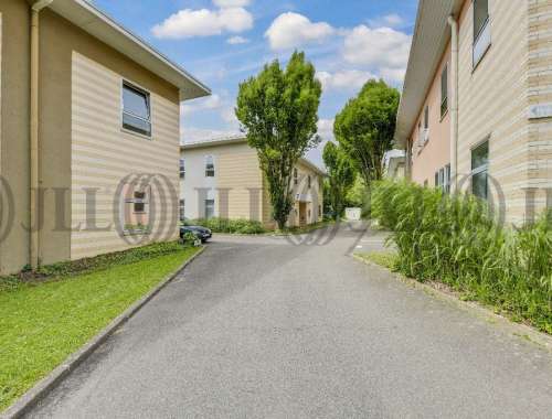 Activités/entrepôt Voisins le bretonneux, 78960 - undefined - 9571844
