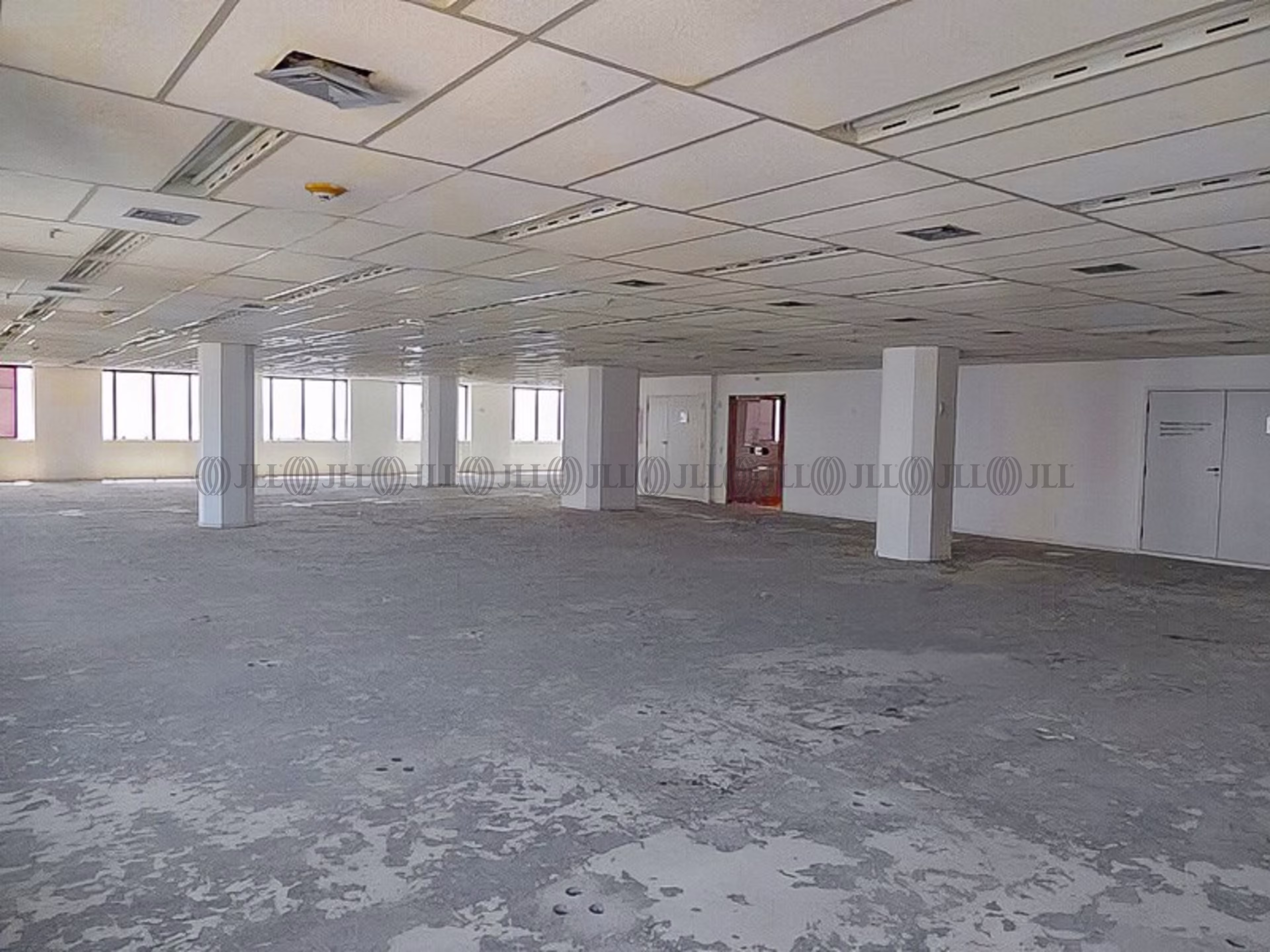 Candelária Corporate