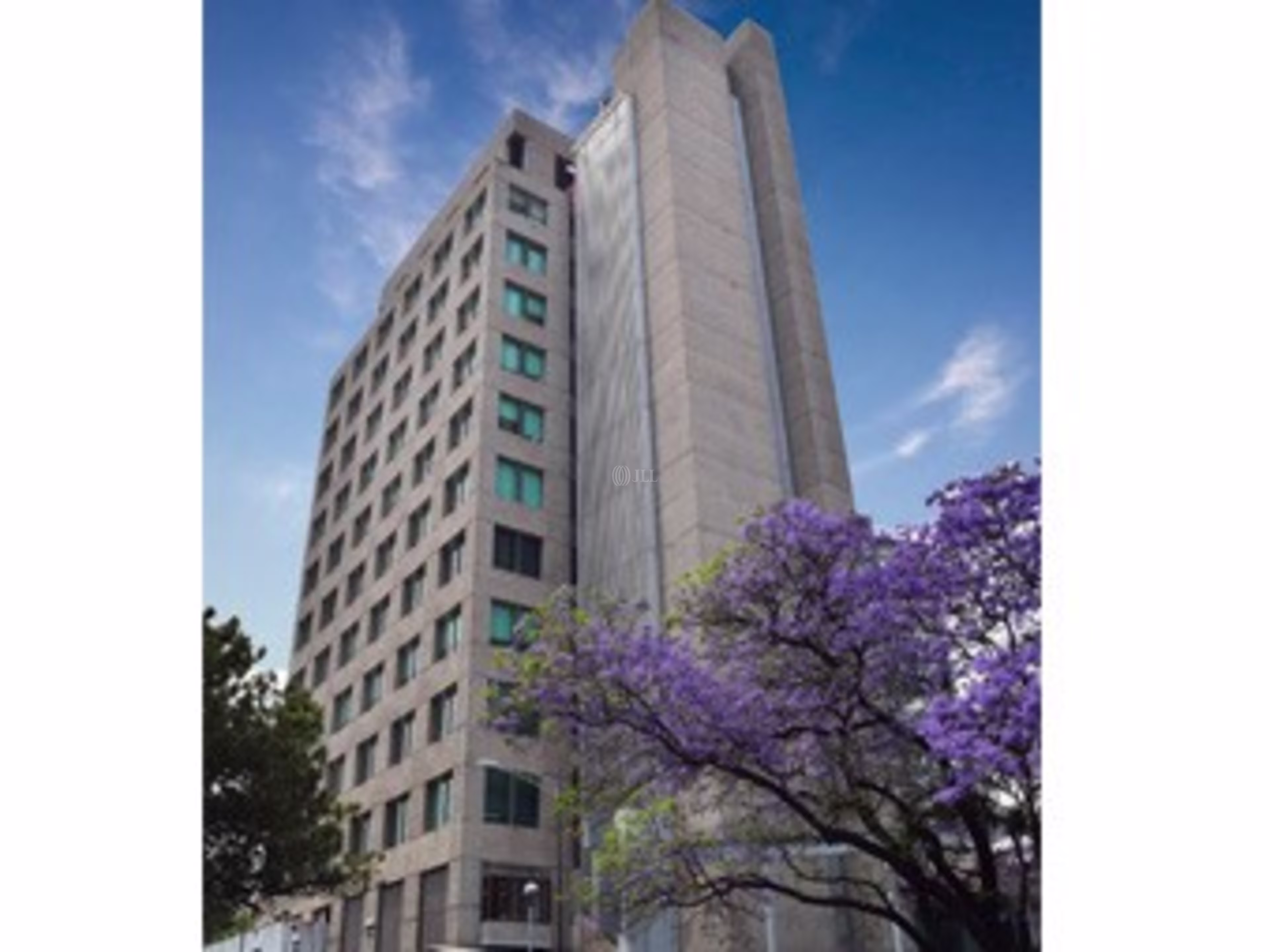 Centro Corporativo San Ángel