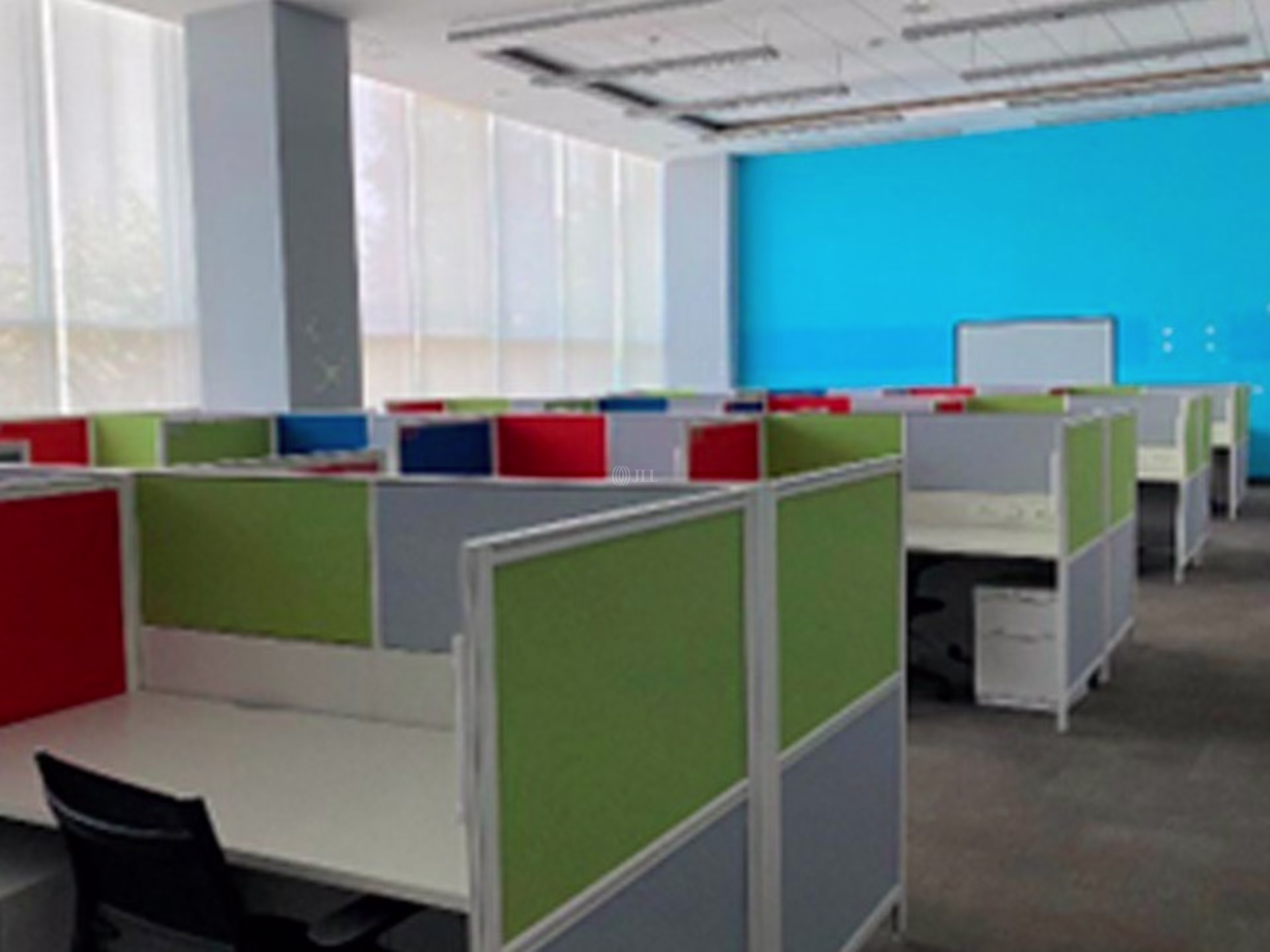 Corporativo Intelis