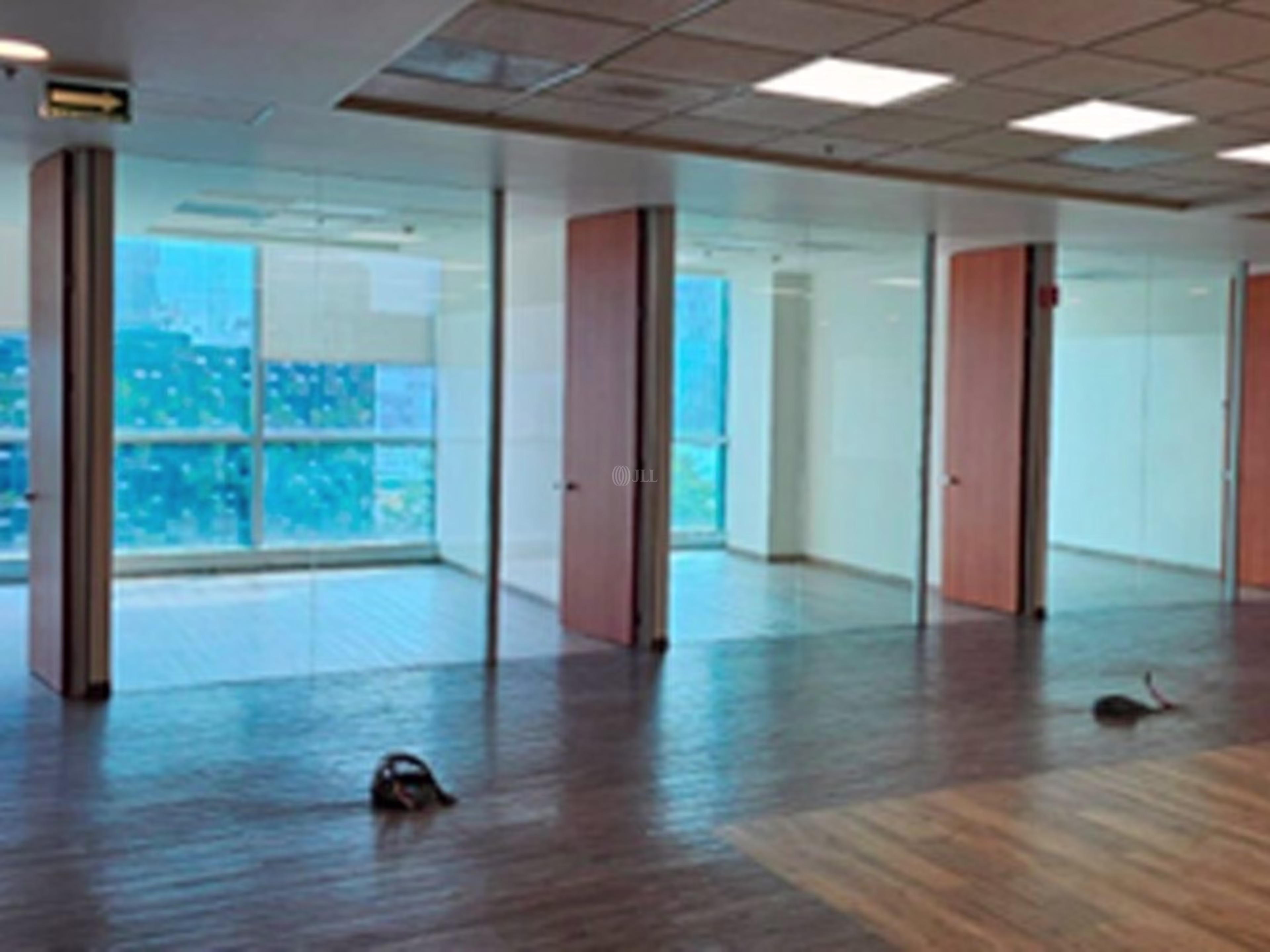 Corporativo Intelis