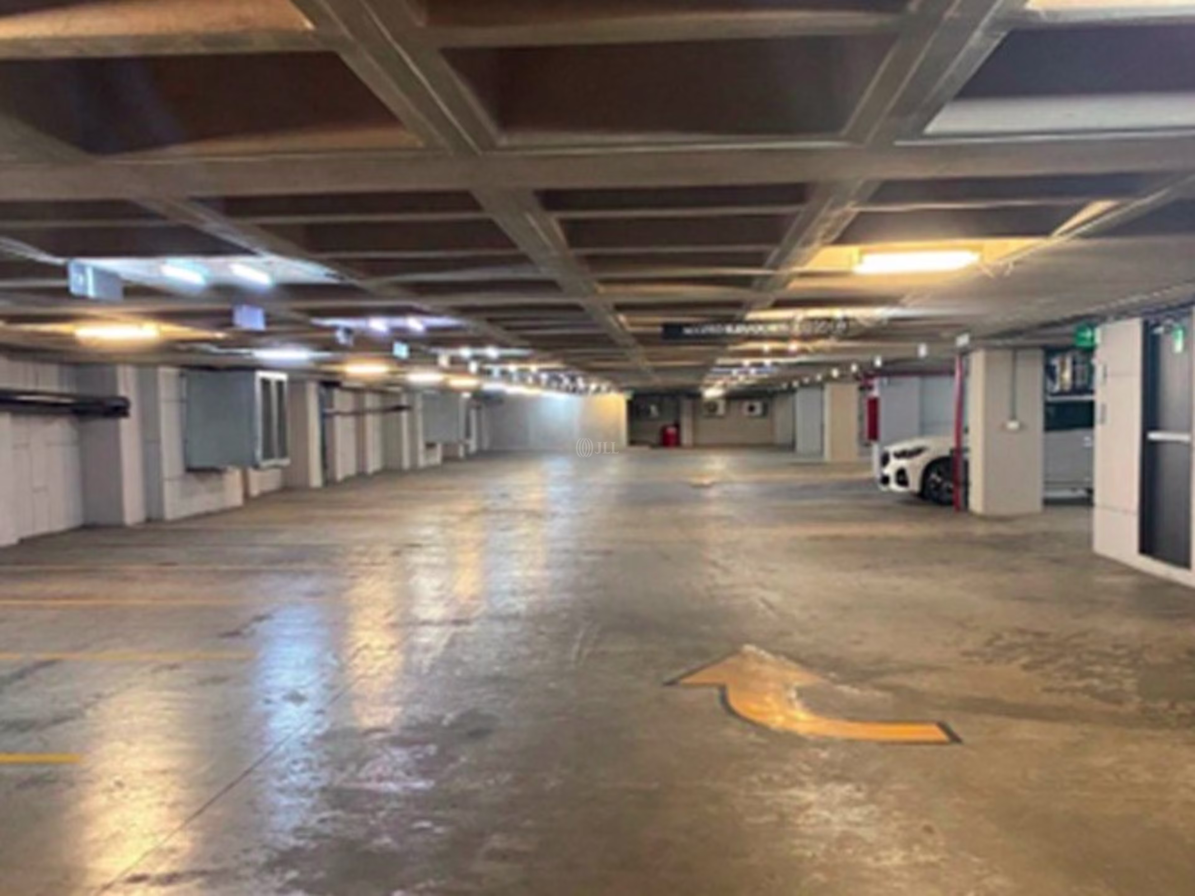 Corporativo Intelis