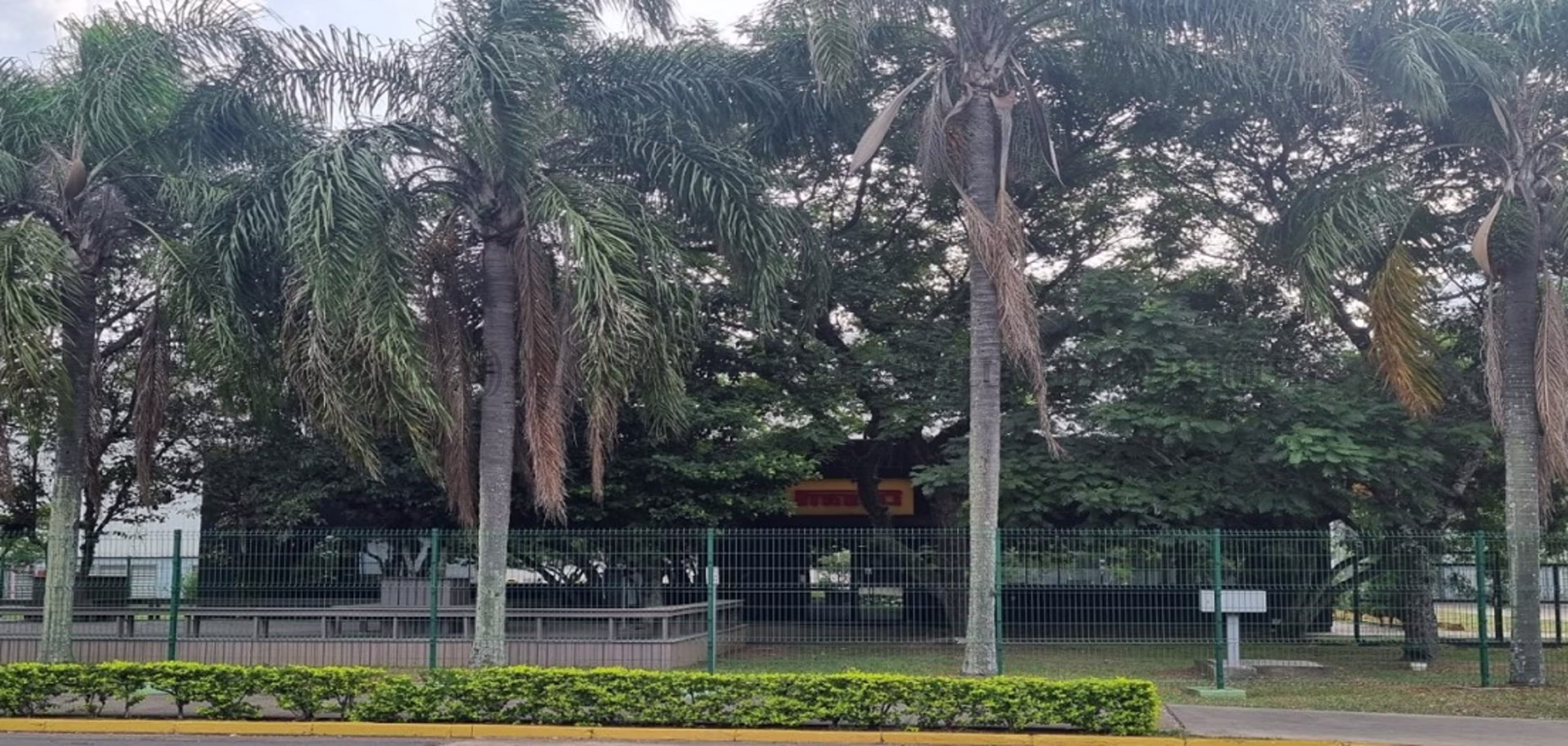 Rua Coqueiros, 325 (Acesso pela Av. Ely Corrêa), Girassol
