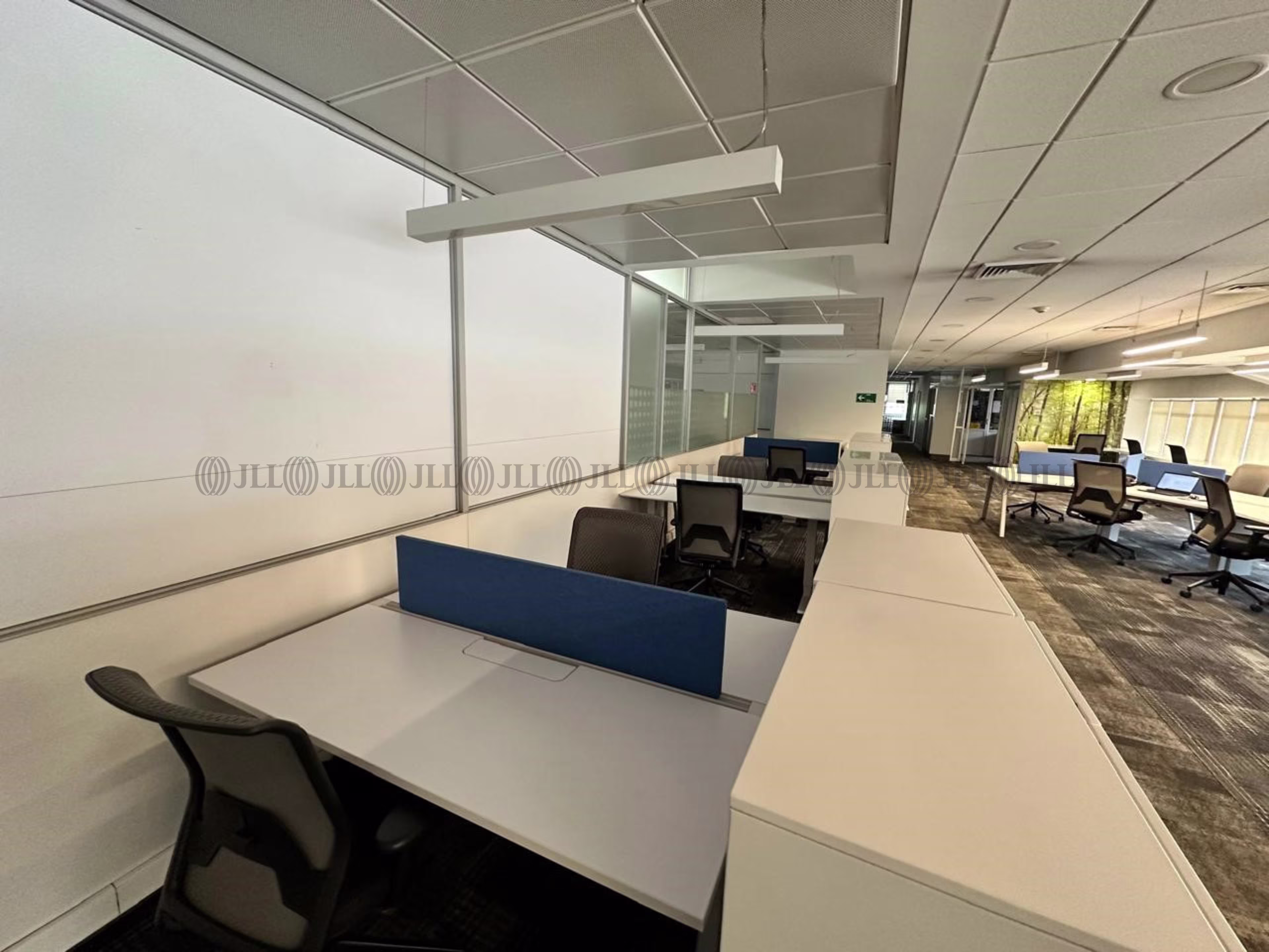 Obispo Arturo Espinoza Campos 2526, Macul