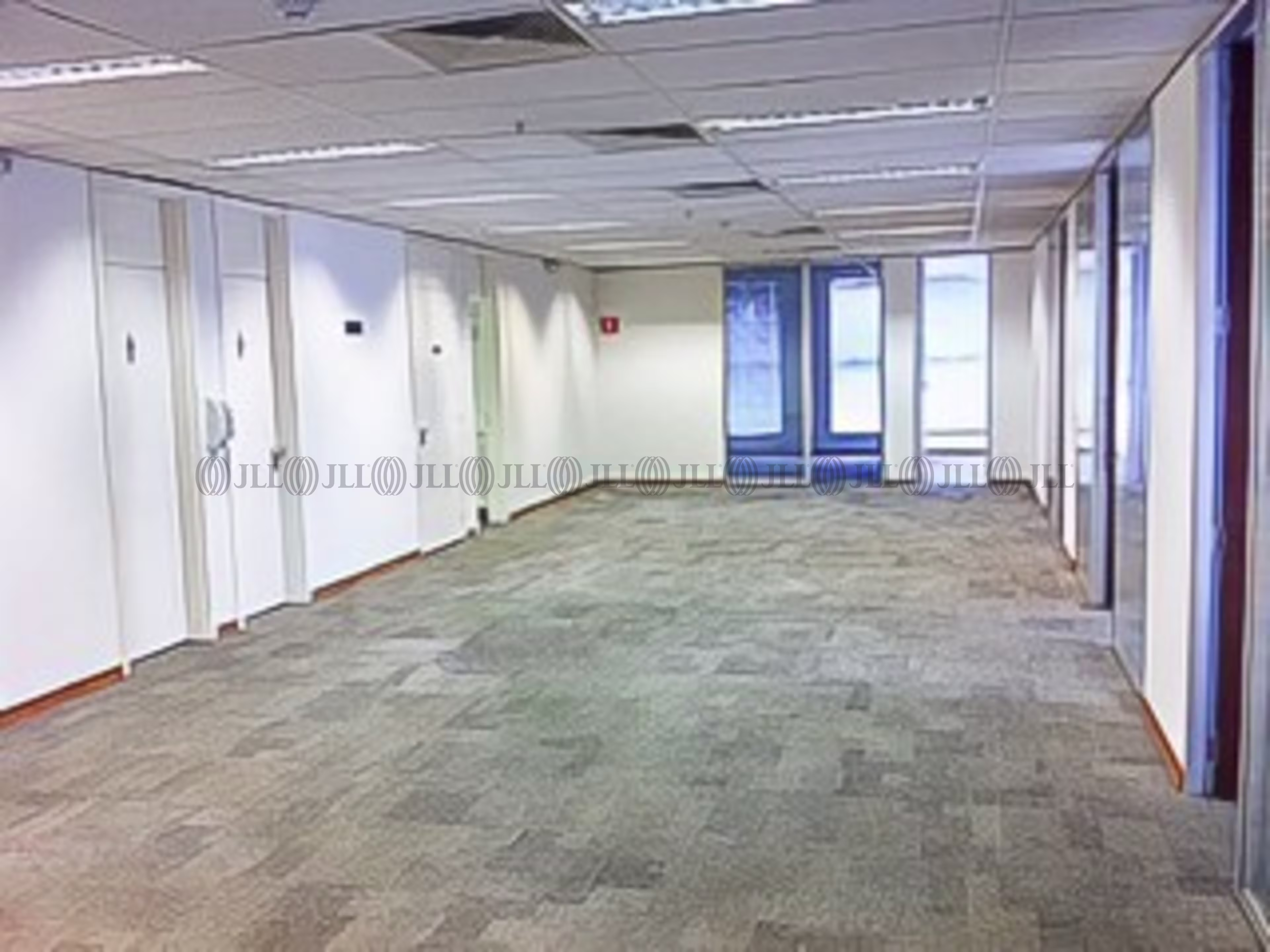 Rua Alexandre Dumas, 2100 - Chácara Santo Antônio (Zona Sul)