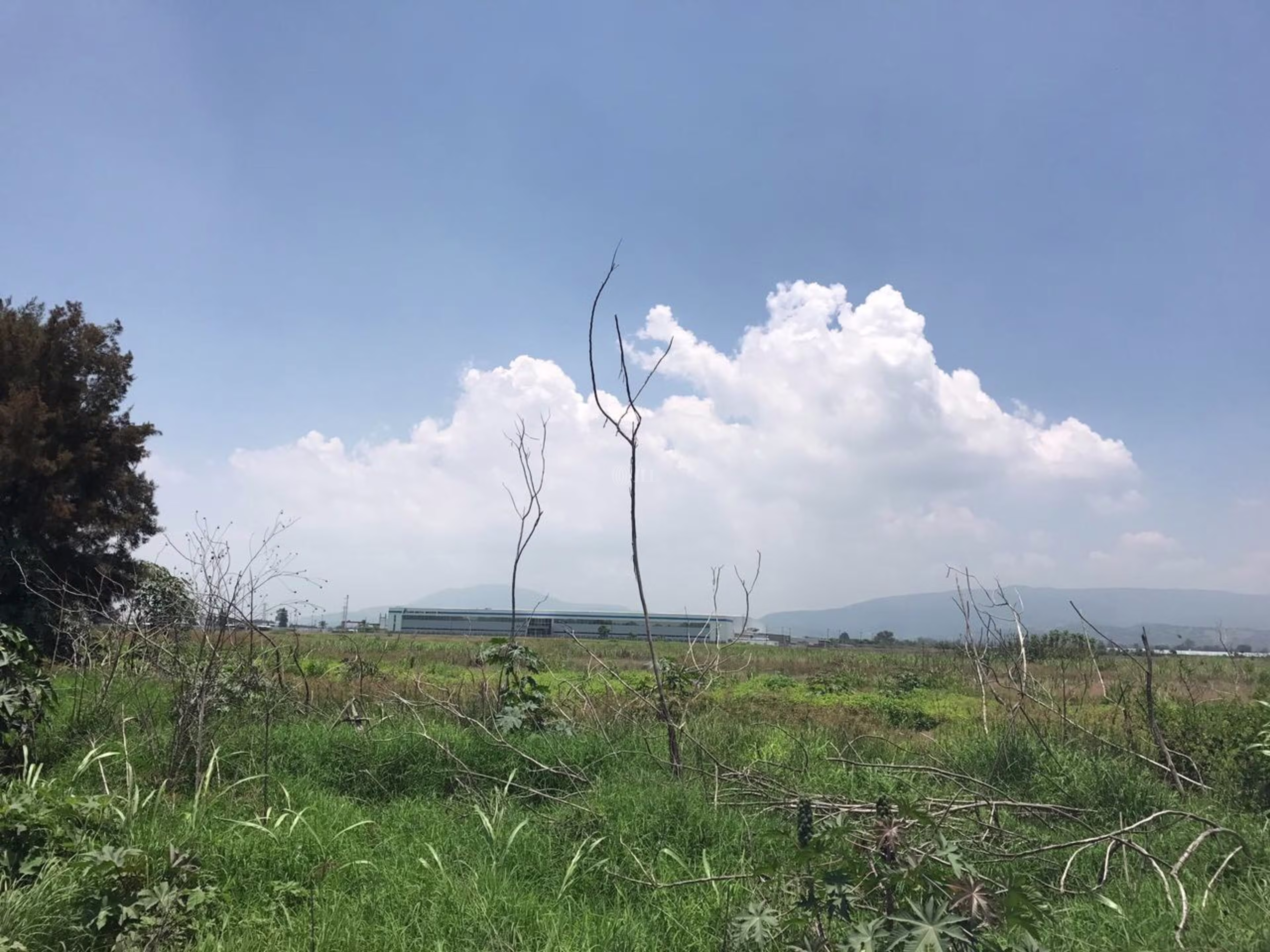 Camino a San Isidro, Tlajomulco de Zuñiga, Jalisco